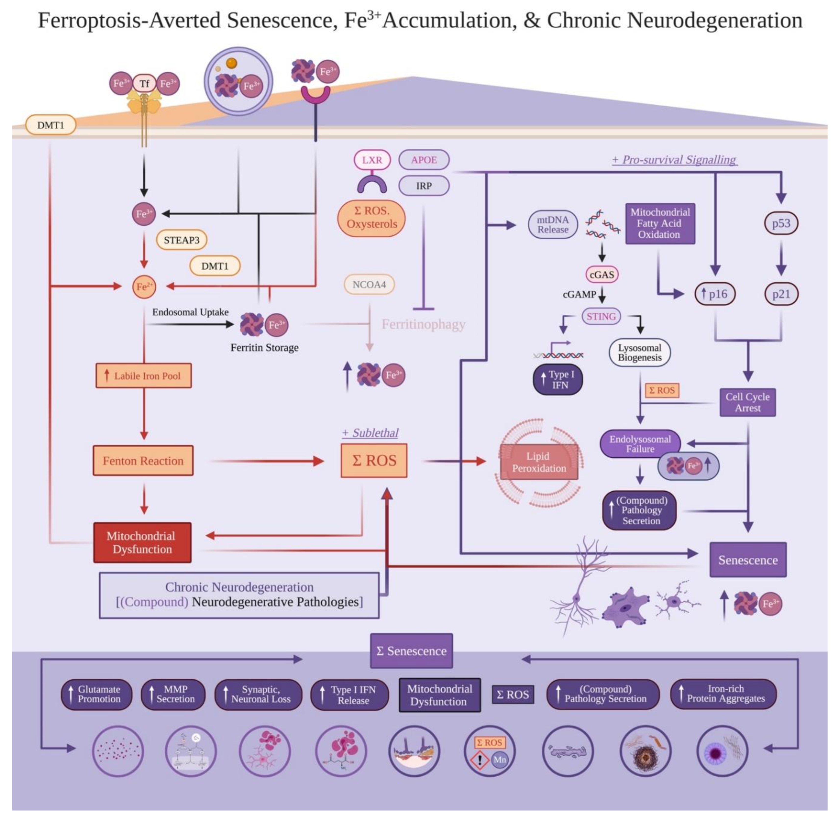 Preprints 182579 g003