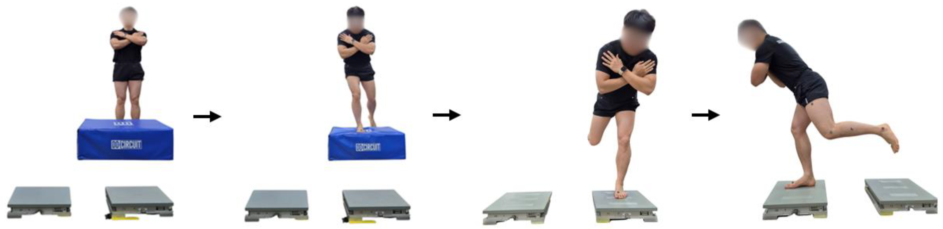 Preprints 172488 g002