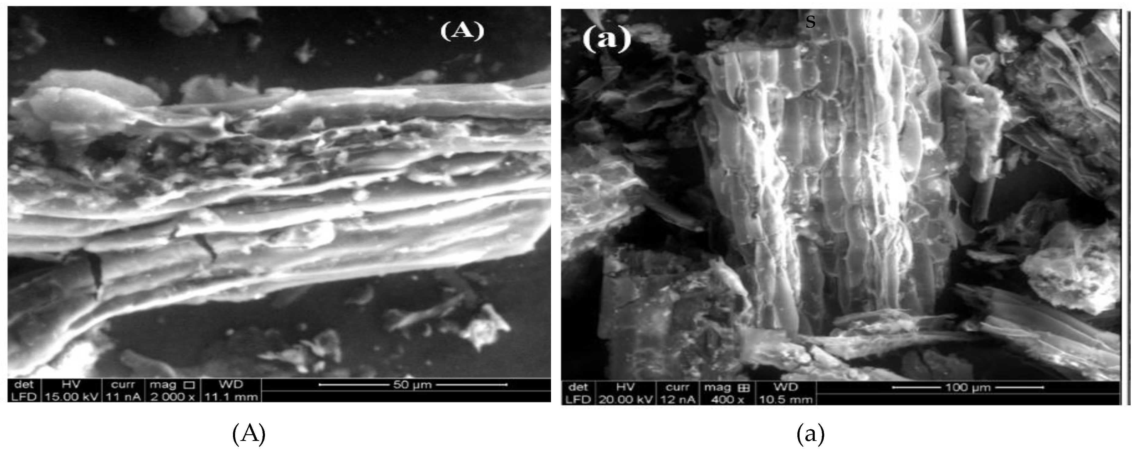 Preprints 140933 g002
