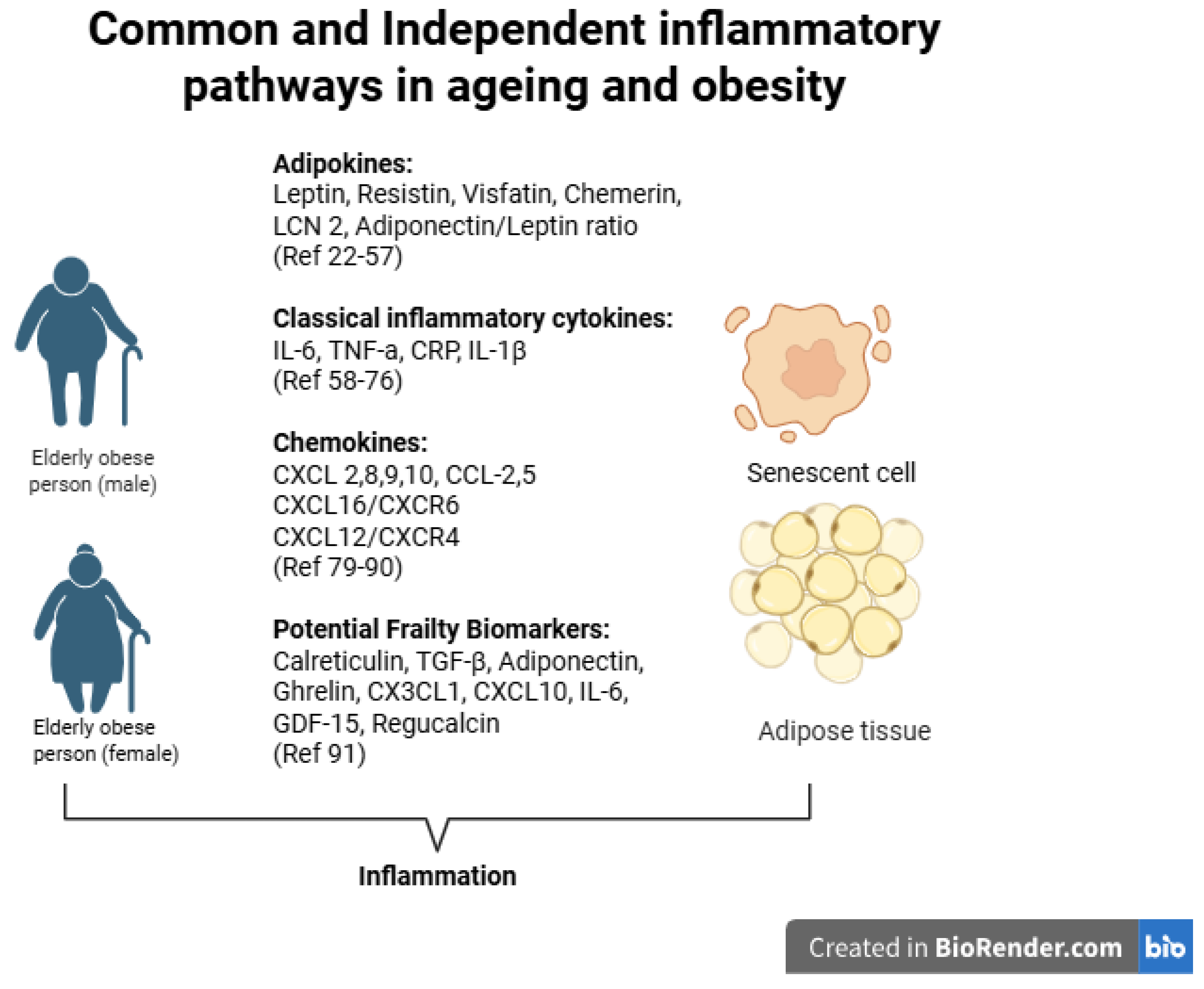 Preprints 178337 g001