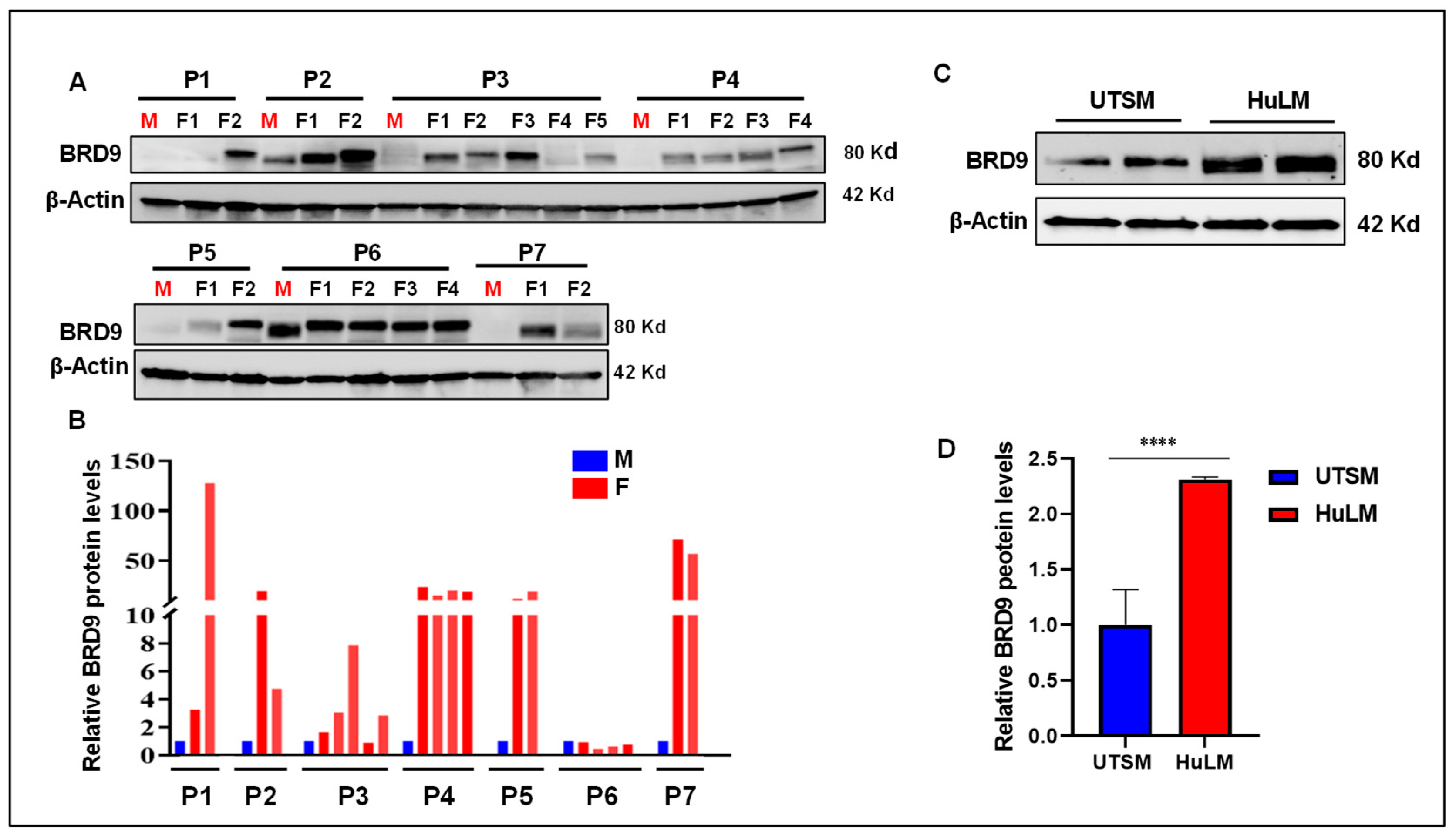Preprints 79592 g001