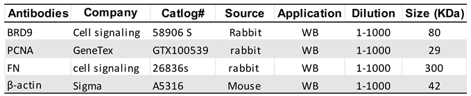 Preprints 79592 i001