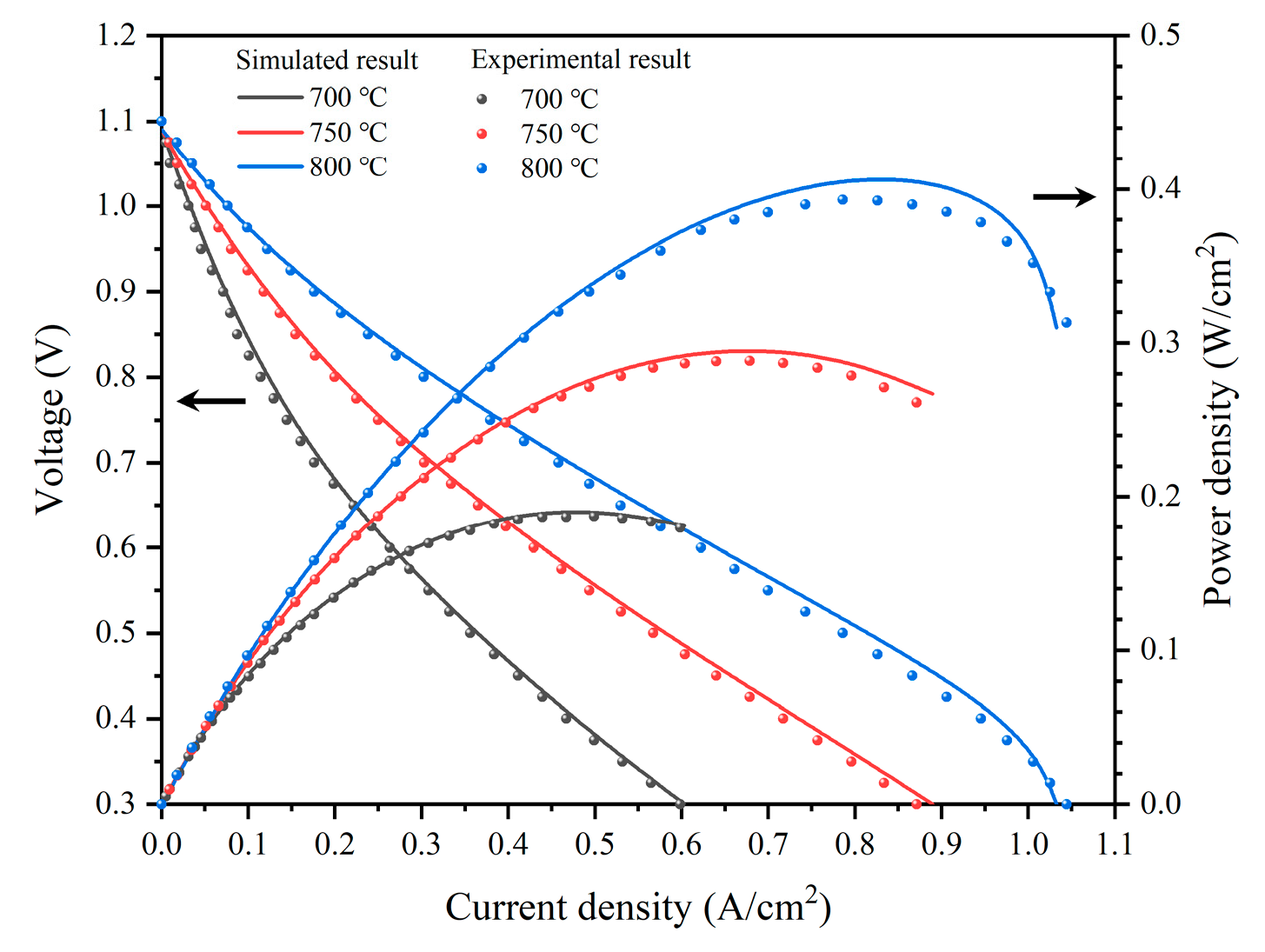 Preprints 219019 g003