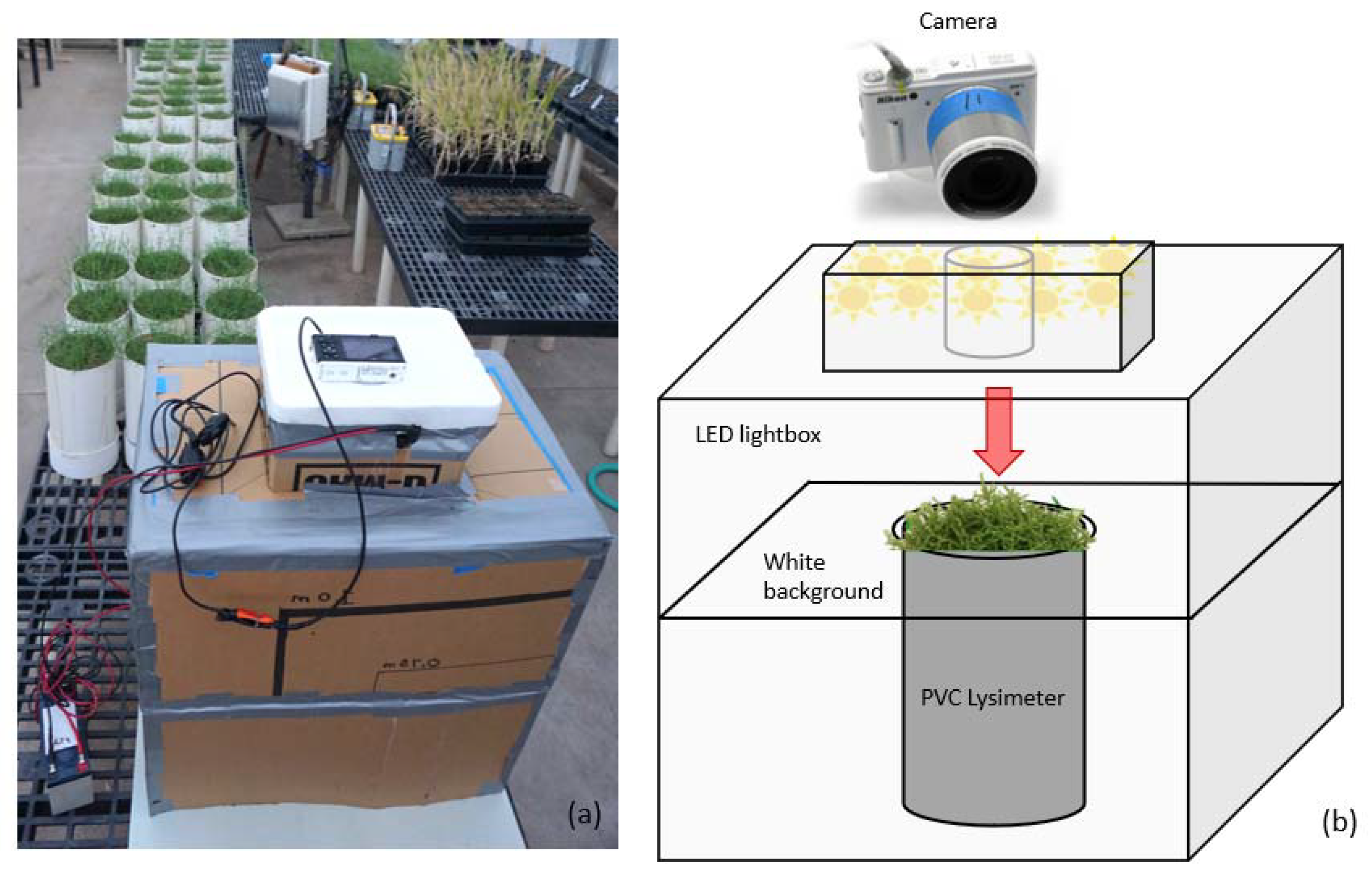 Preprints 115174 g001
