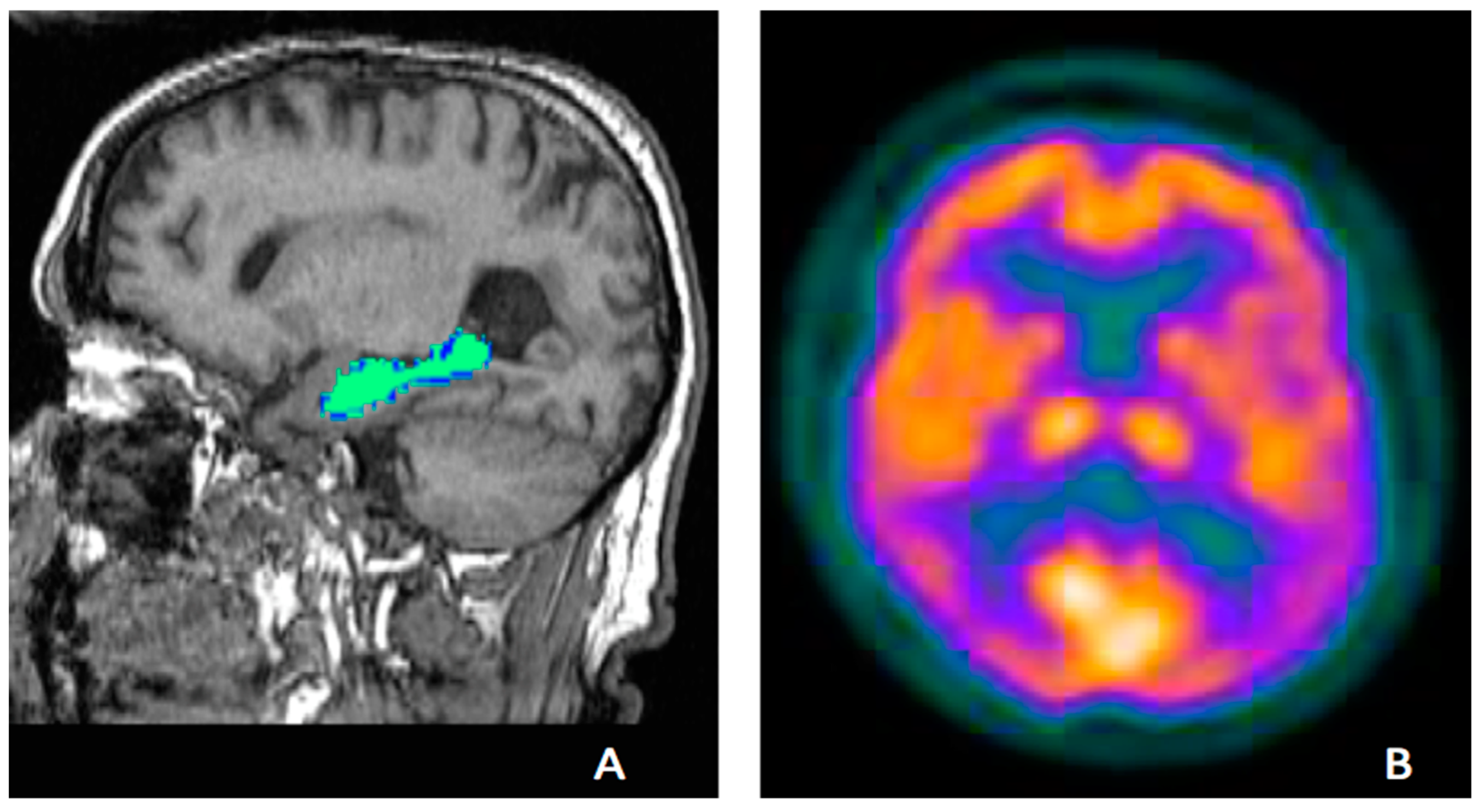 Preprints 159071 g001