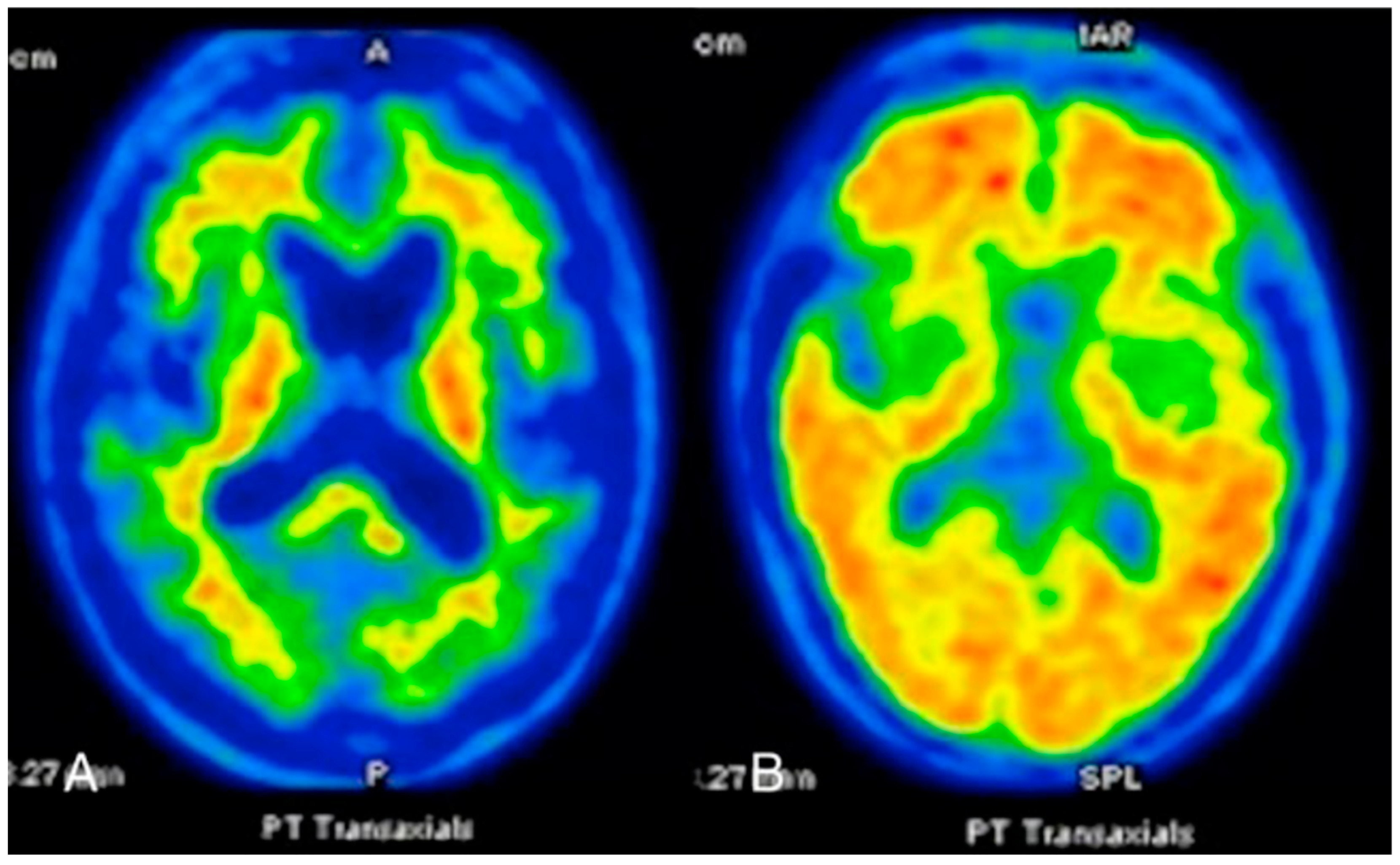 Preprints 159071 g004