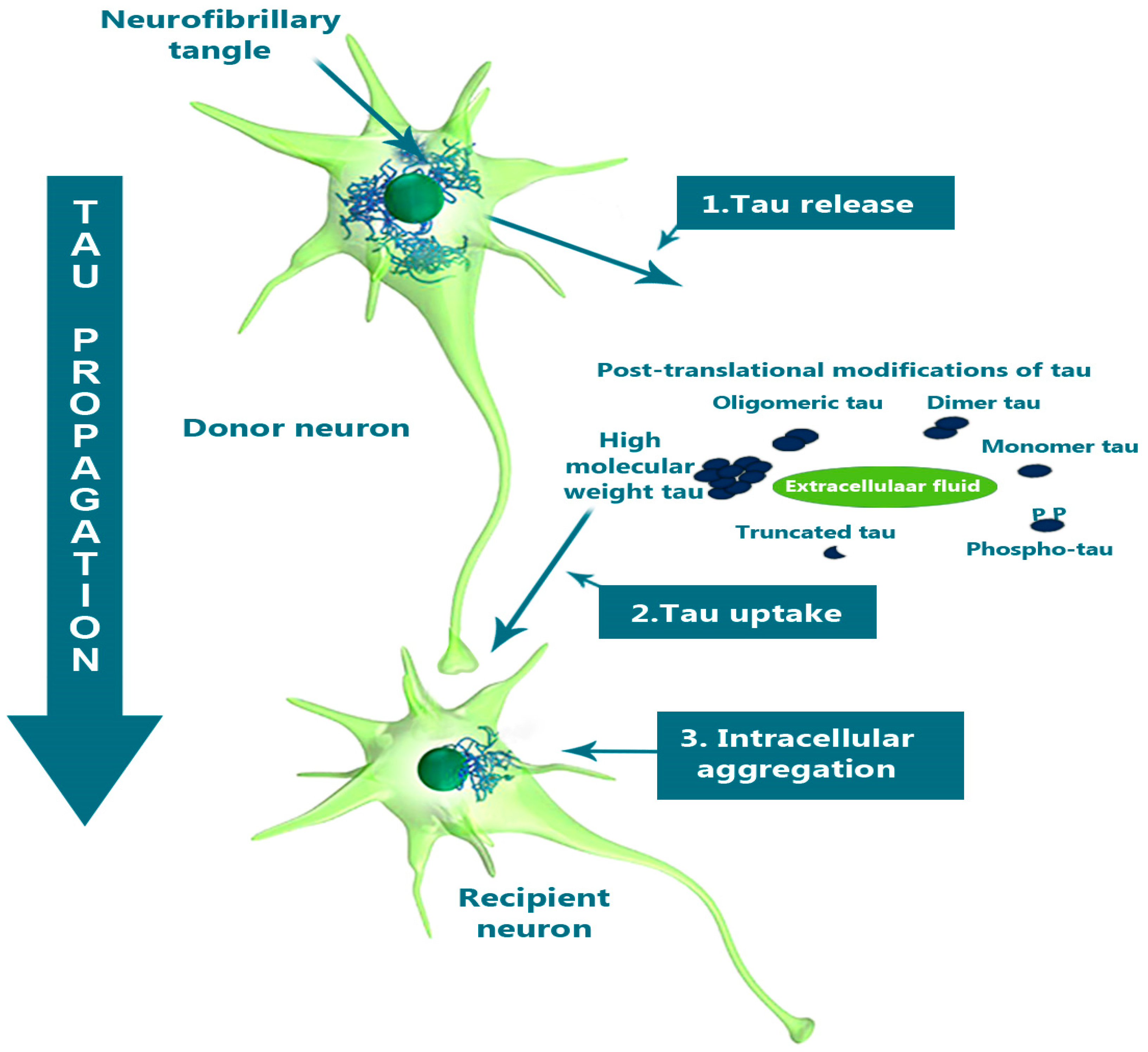 Preprints 159071 g005