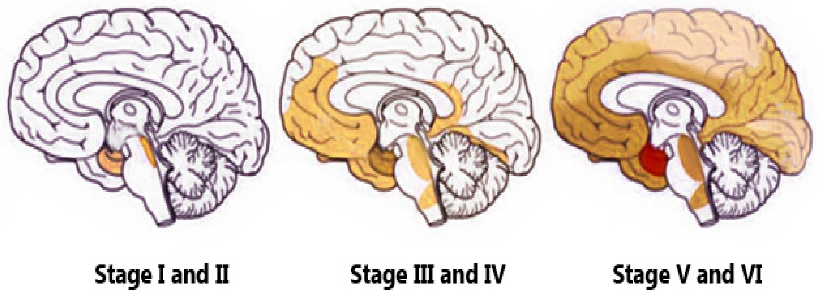 Preprints 159071 g006