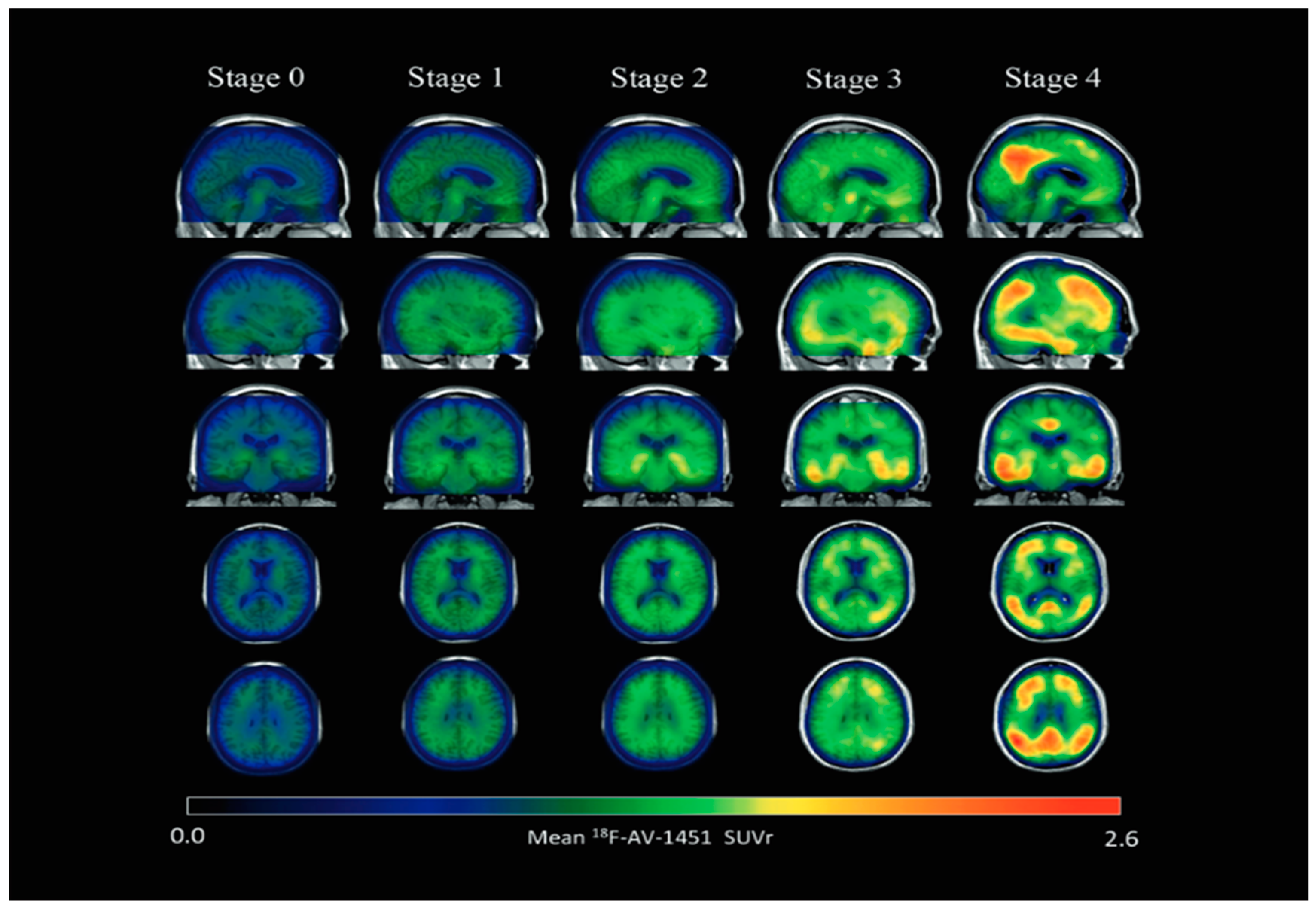 Preprints 159071 g007