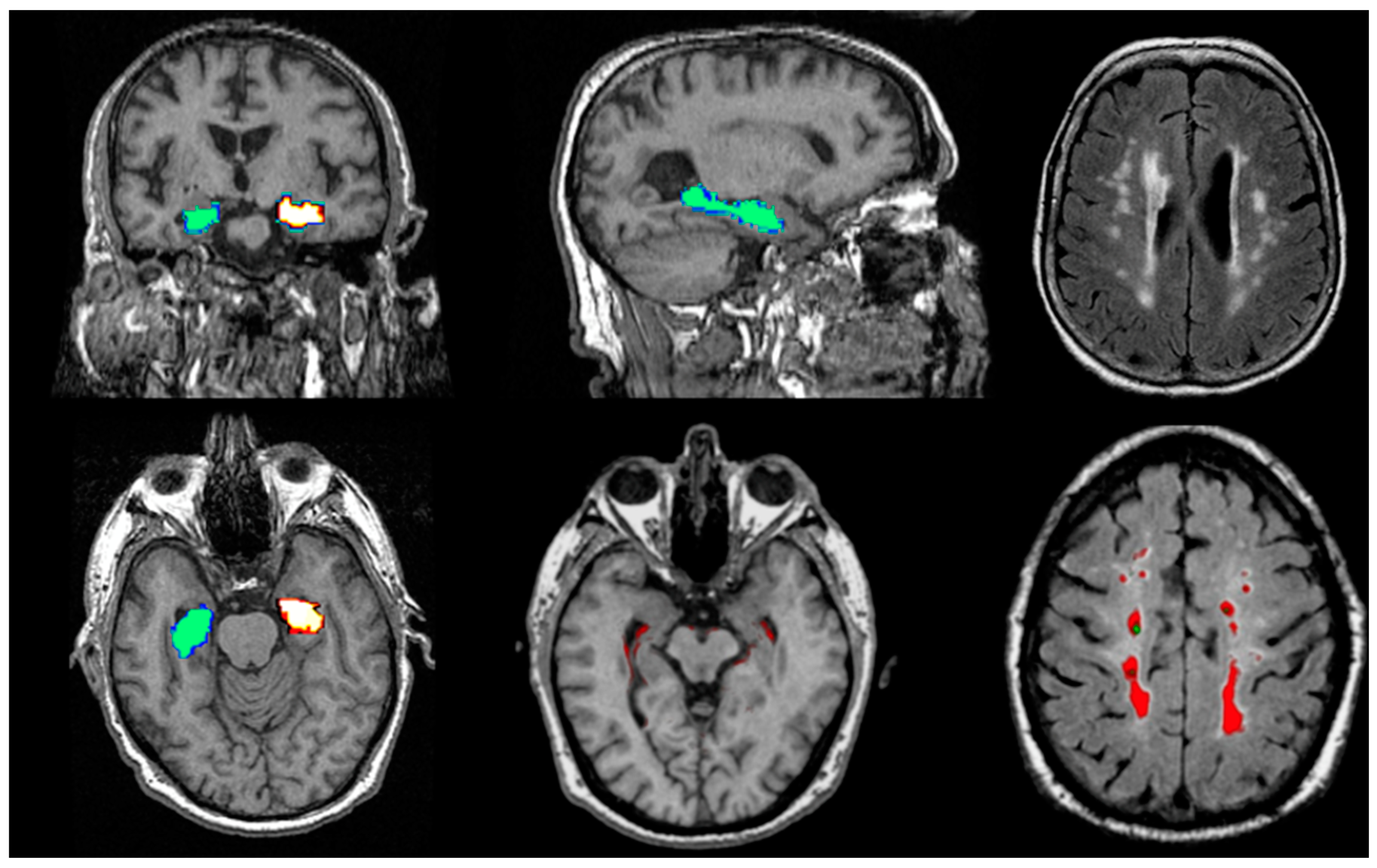 Preprints 159071 g008