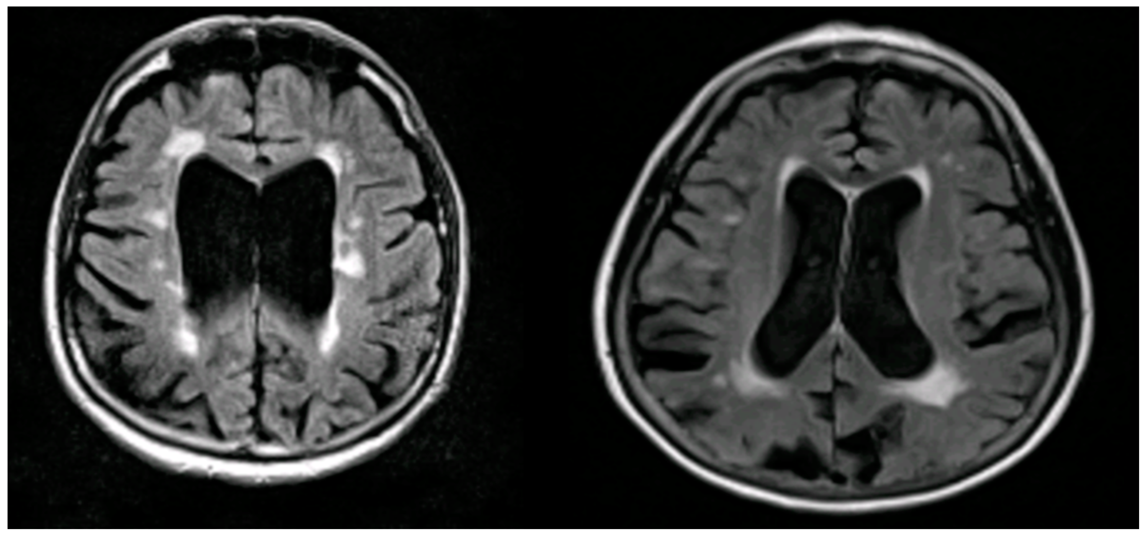 Preprints 159071 g009
