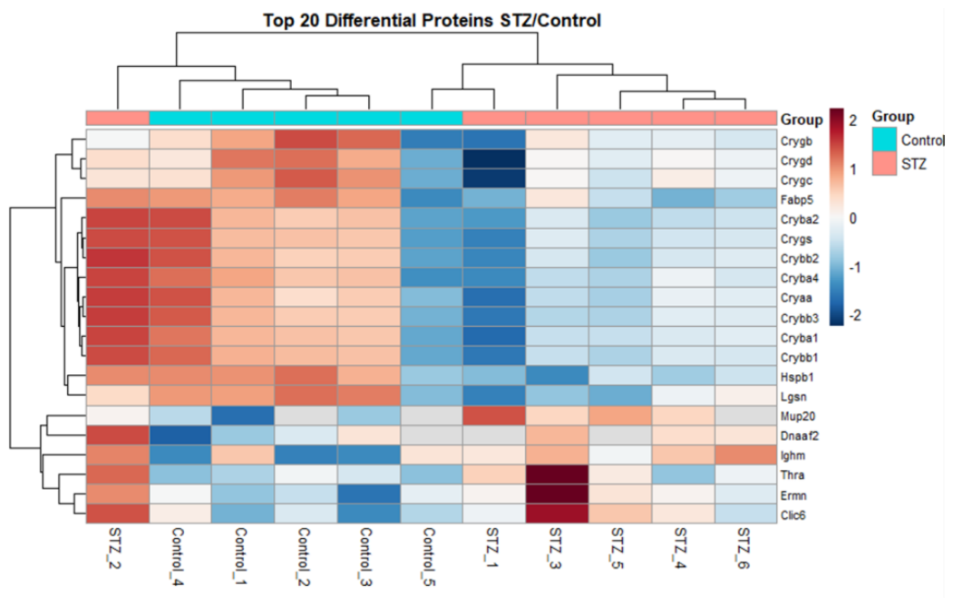 Preprints 218514 g006 Preprints 218514 g006