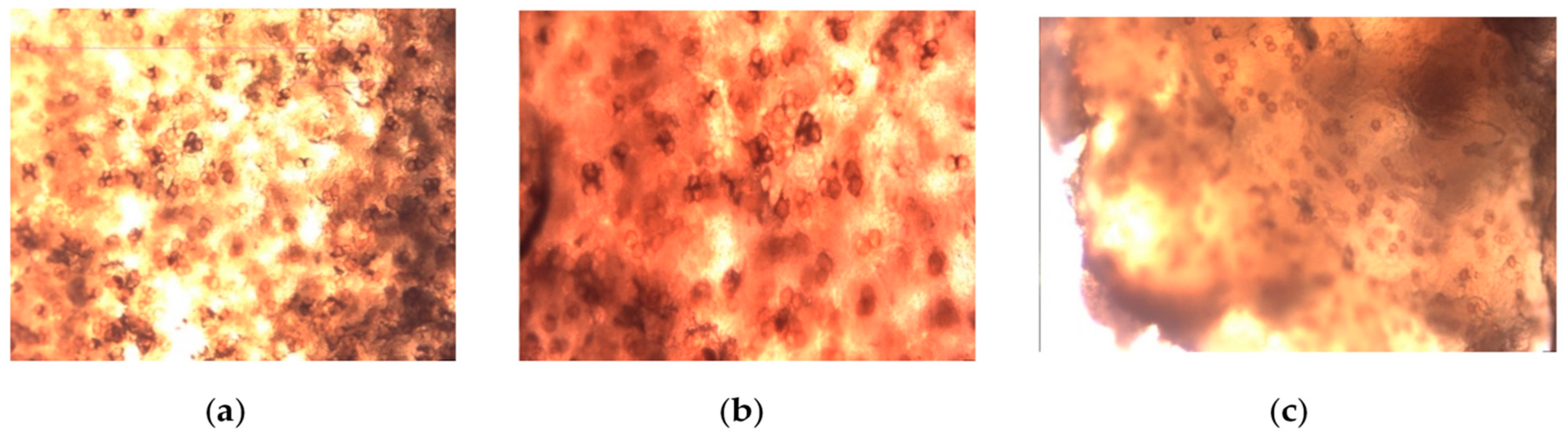 Preprints 164566 g002