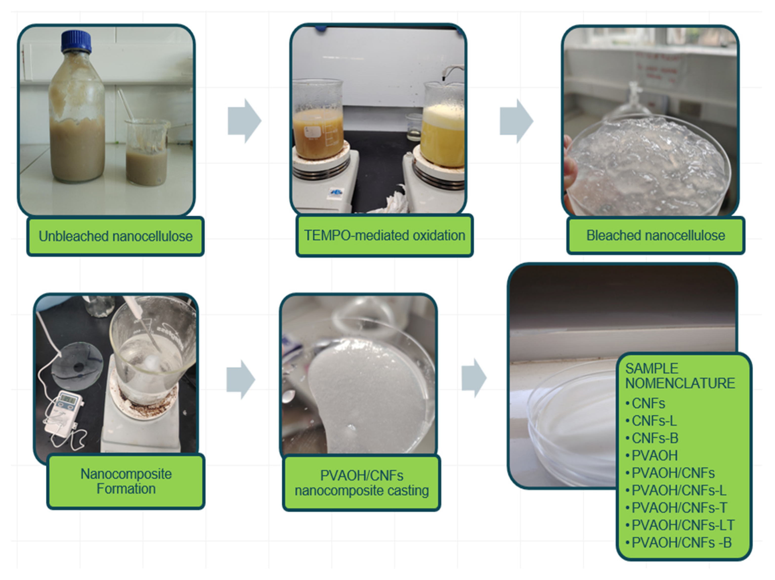 Preprints 201485 g001