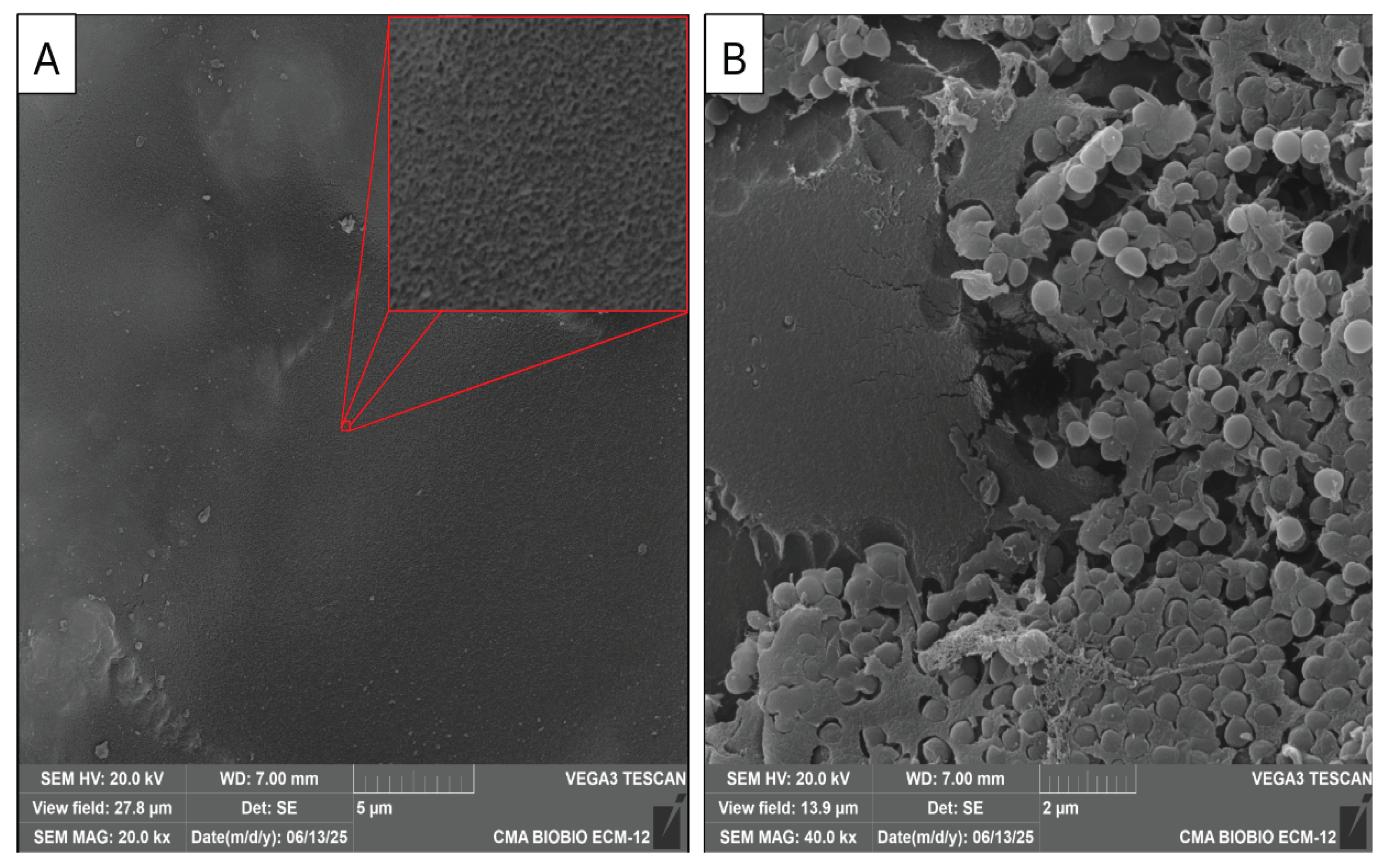 Preprints 201485 g006