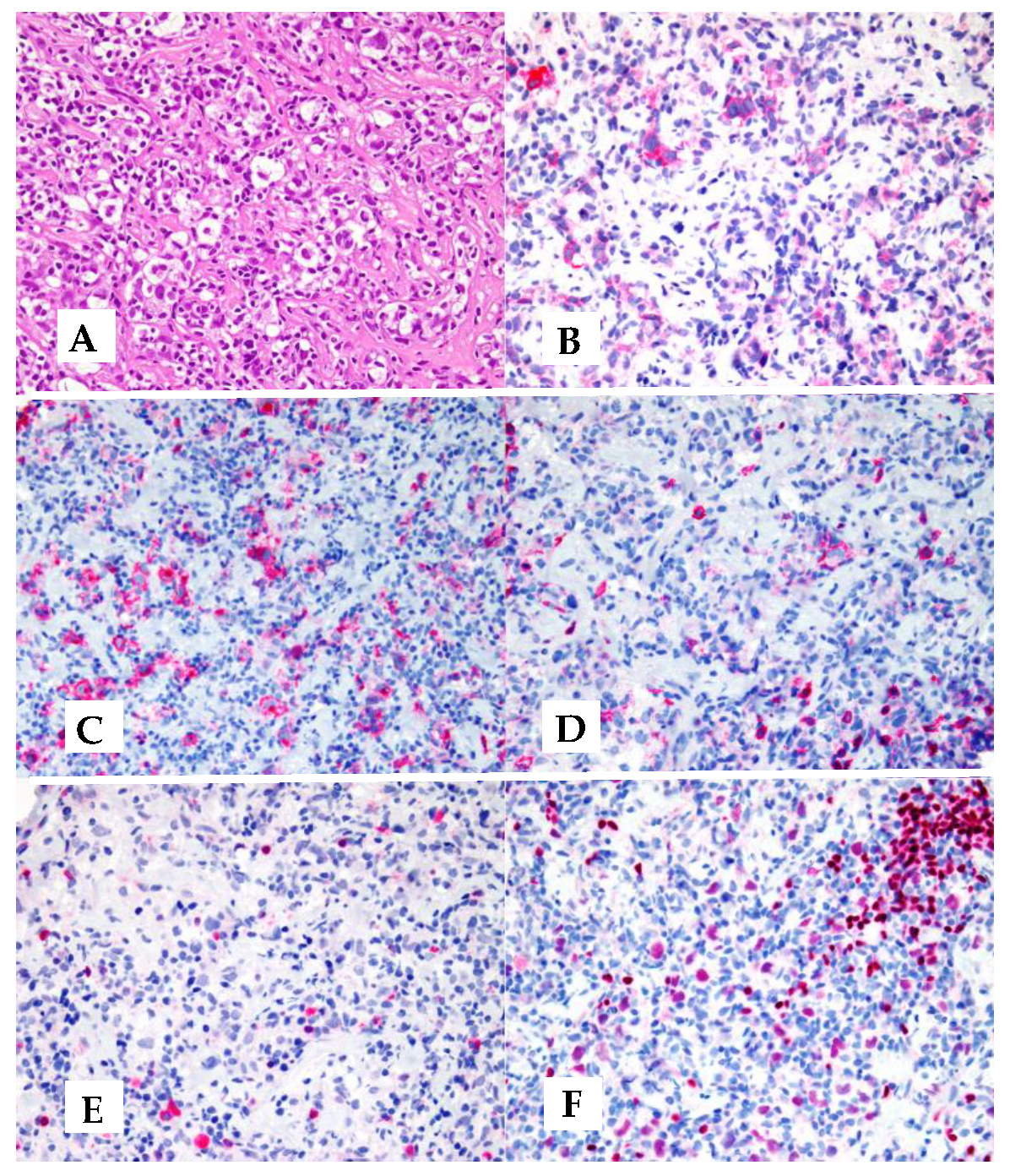Preprints 73933 g002