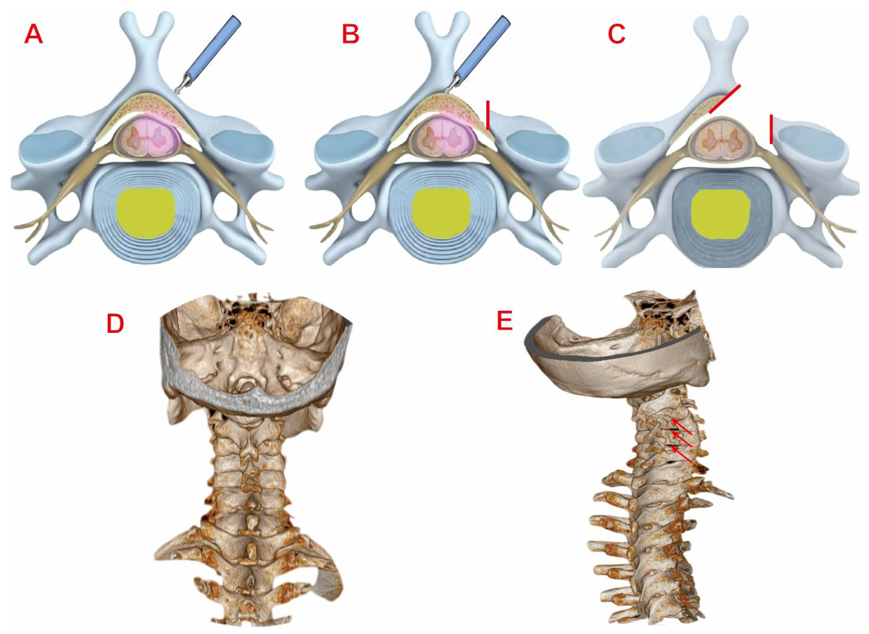 Preprints 174122 g001