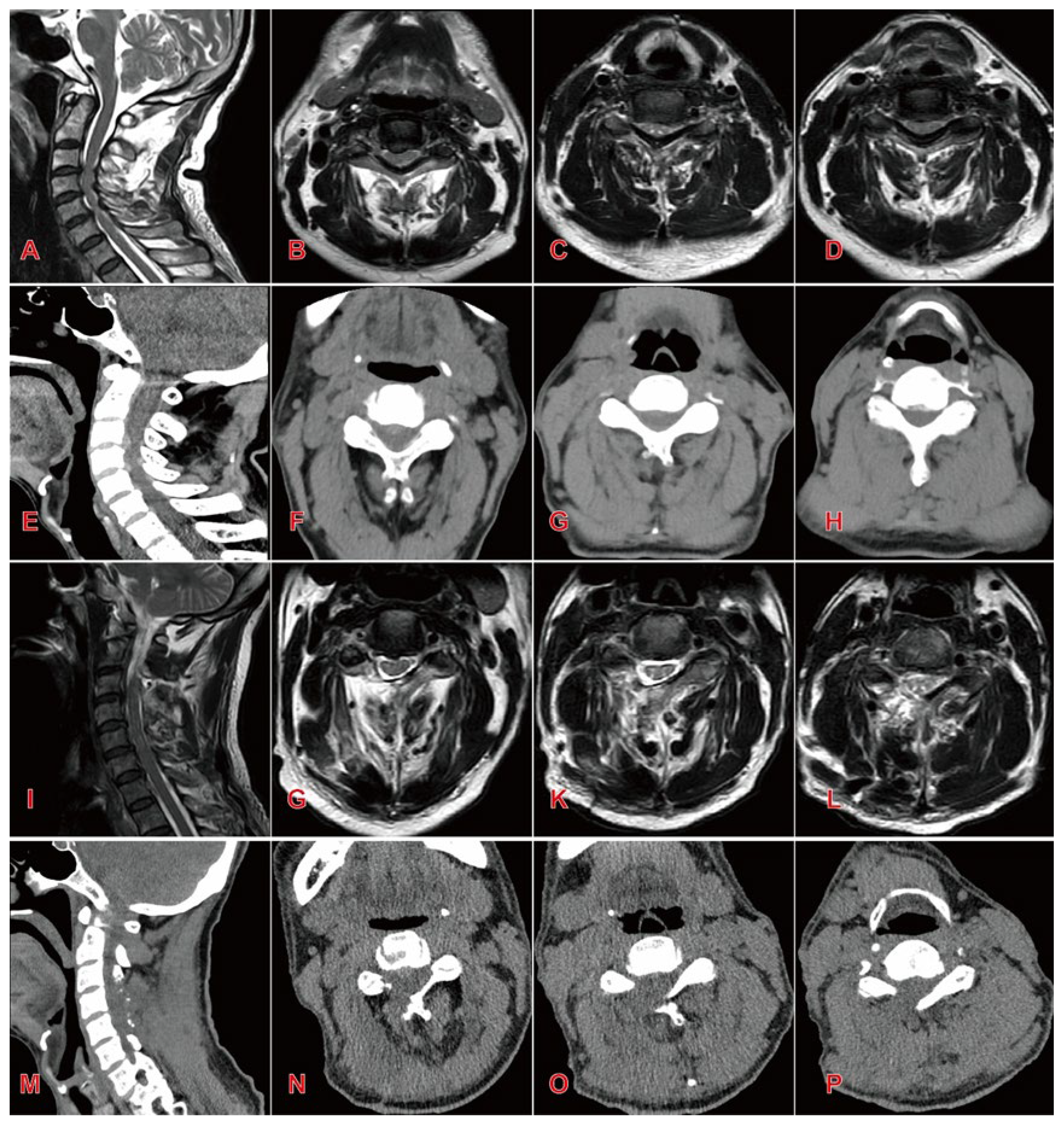 Preprints 174122 g002