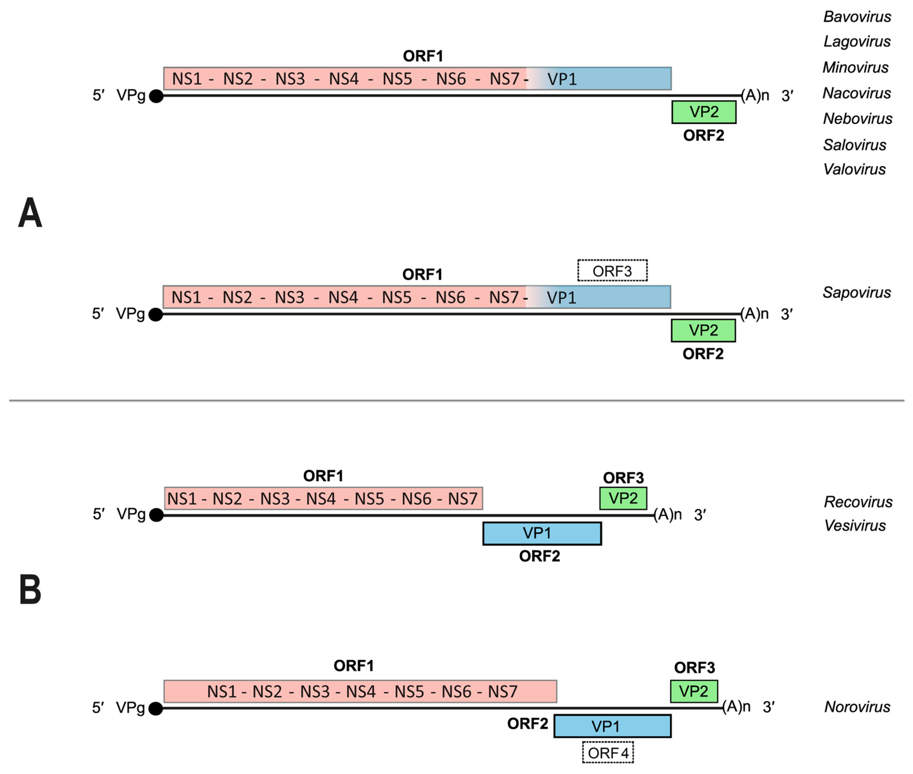 Preprints 106724 g002