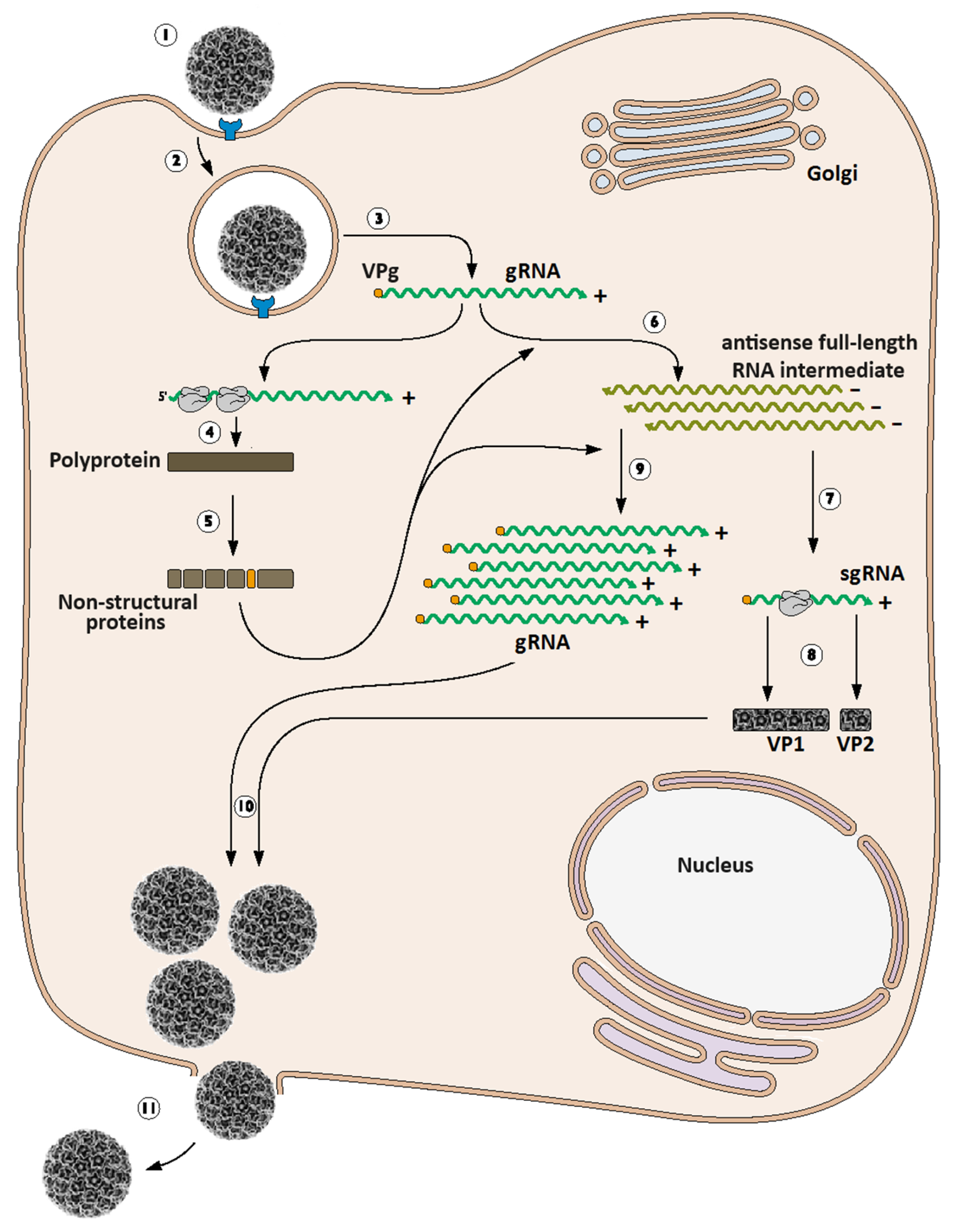 Preprints 106724 g003