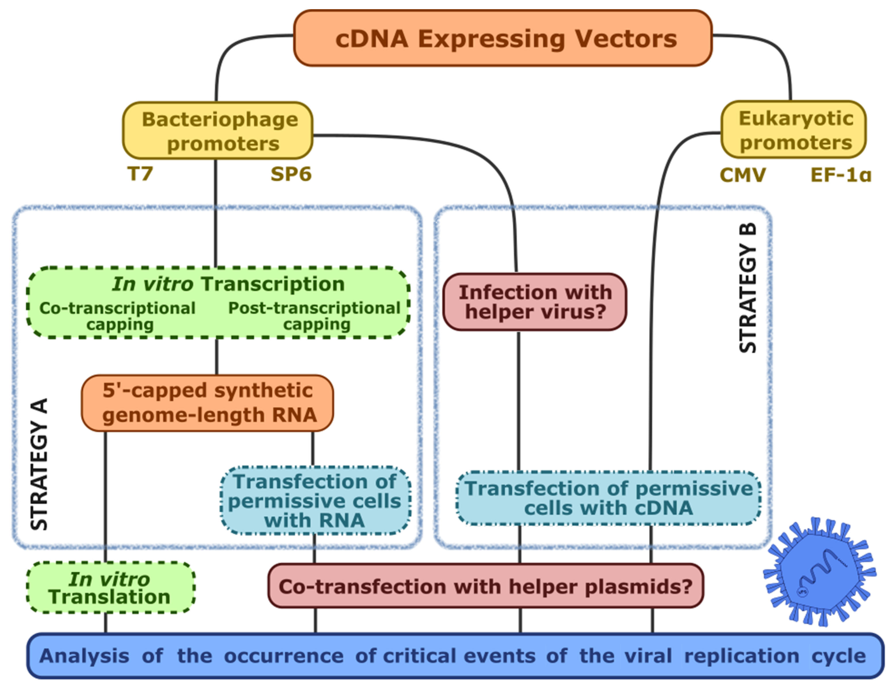 Preprints 106724 g004