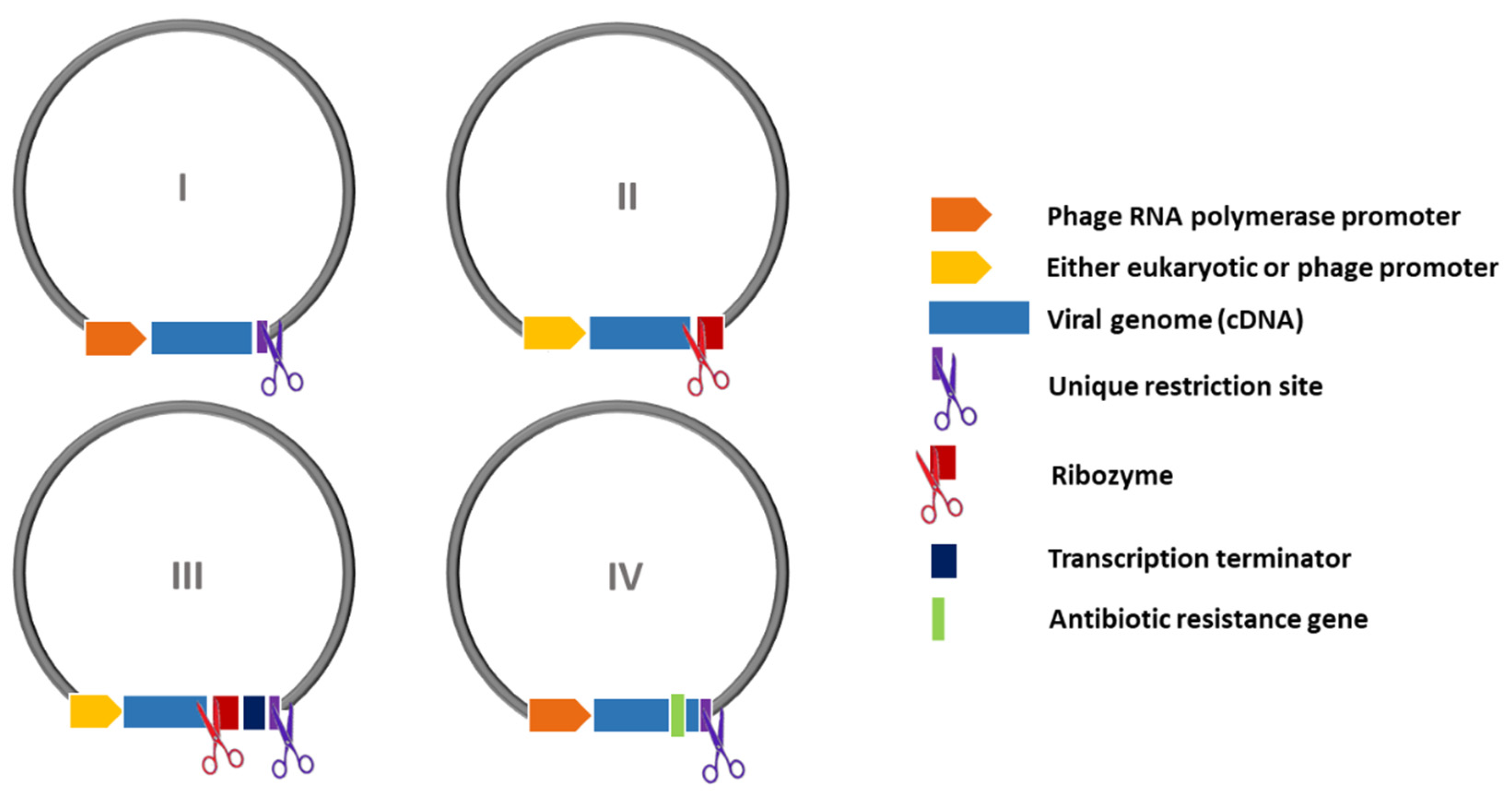 Preprints 106724 g006