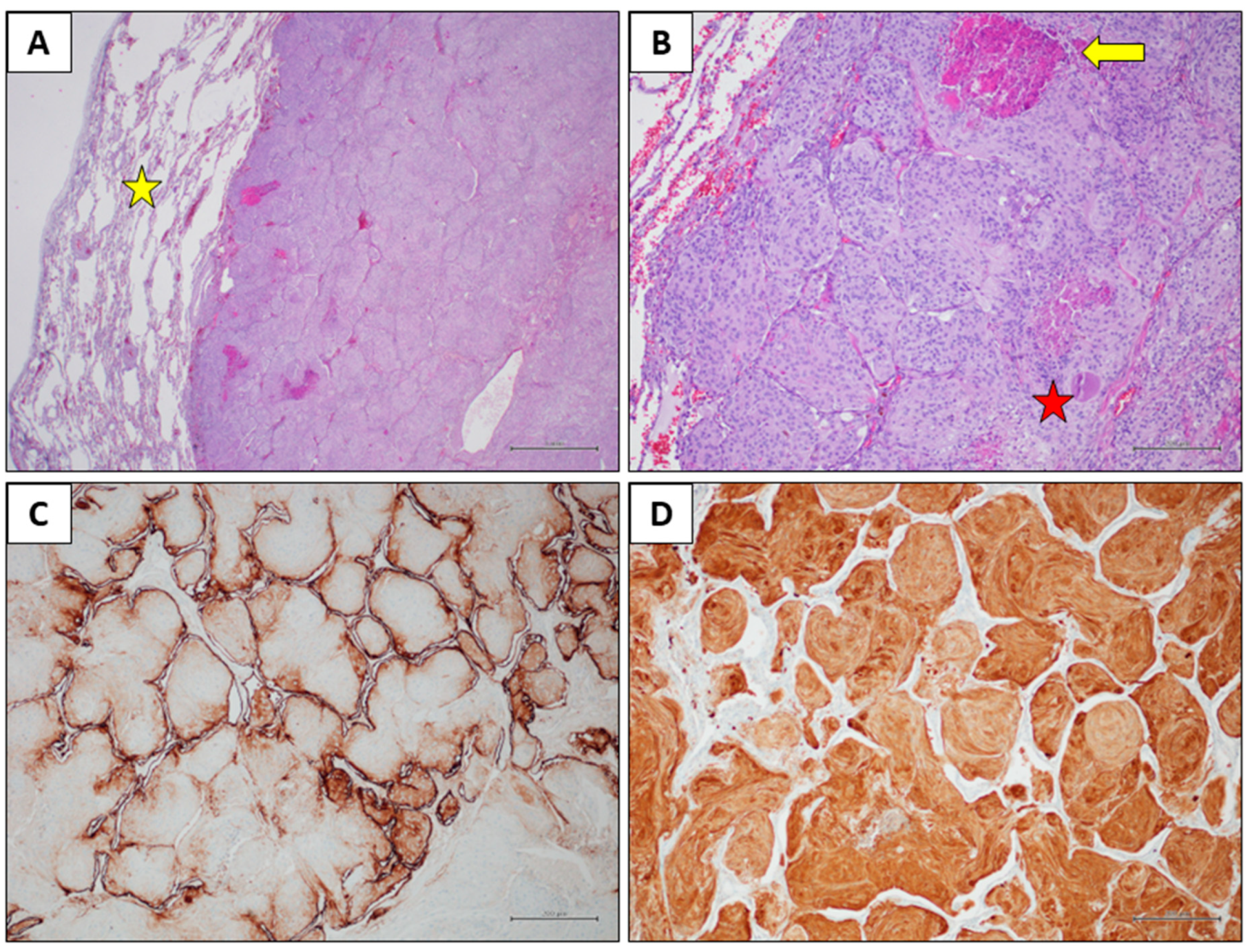 Preprints 163297 g001
