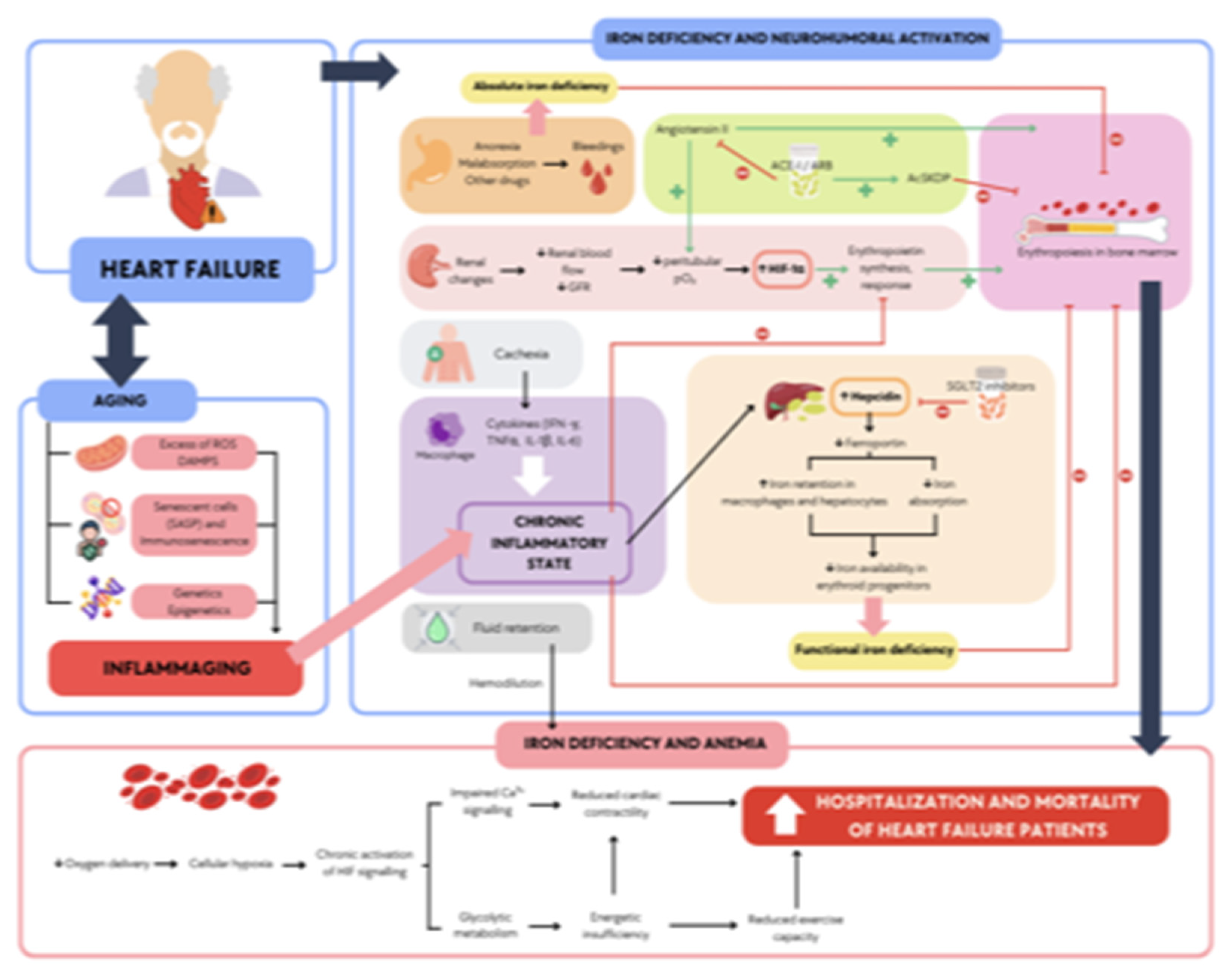 Preprints 145042 g002