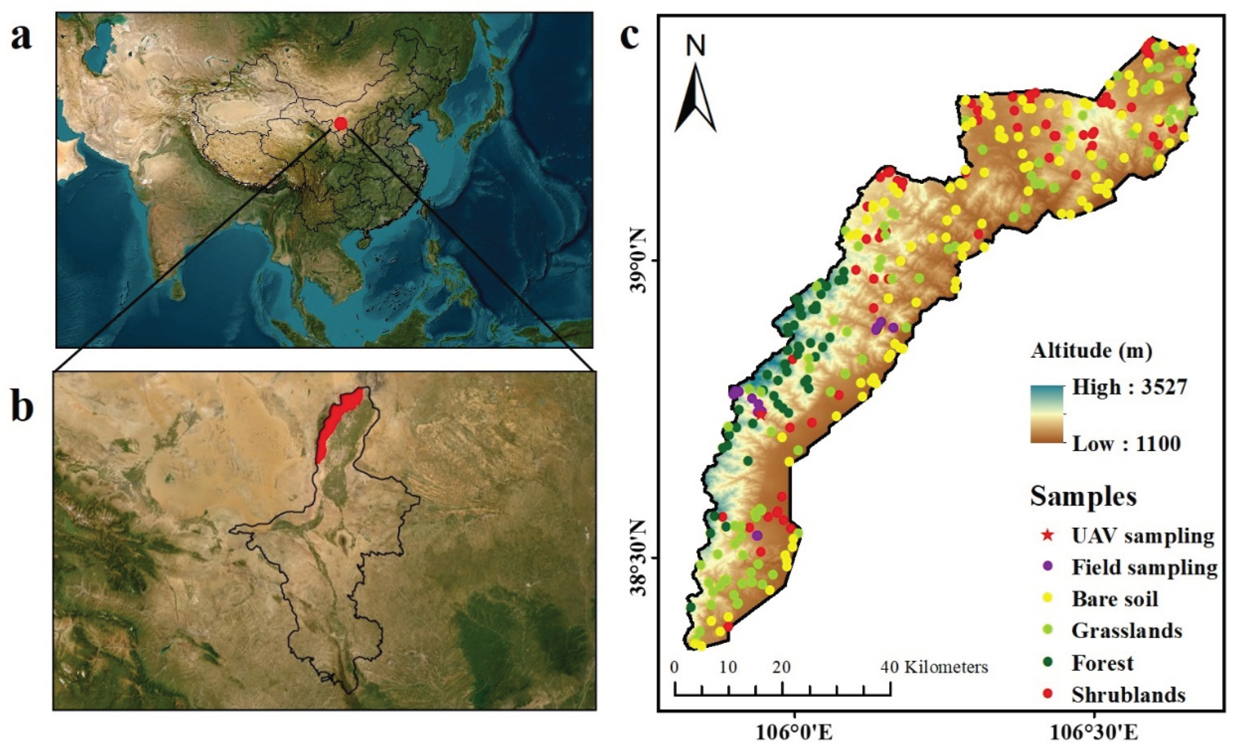 Preprints 100131 g001