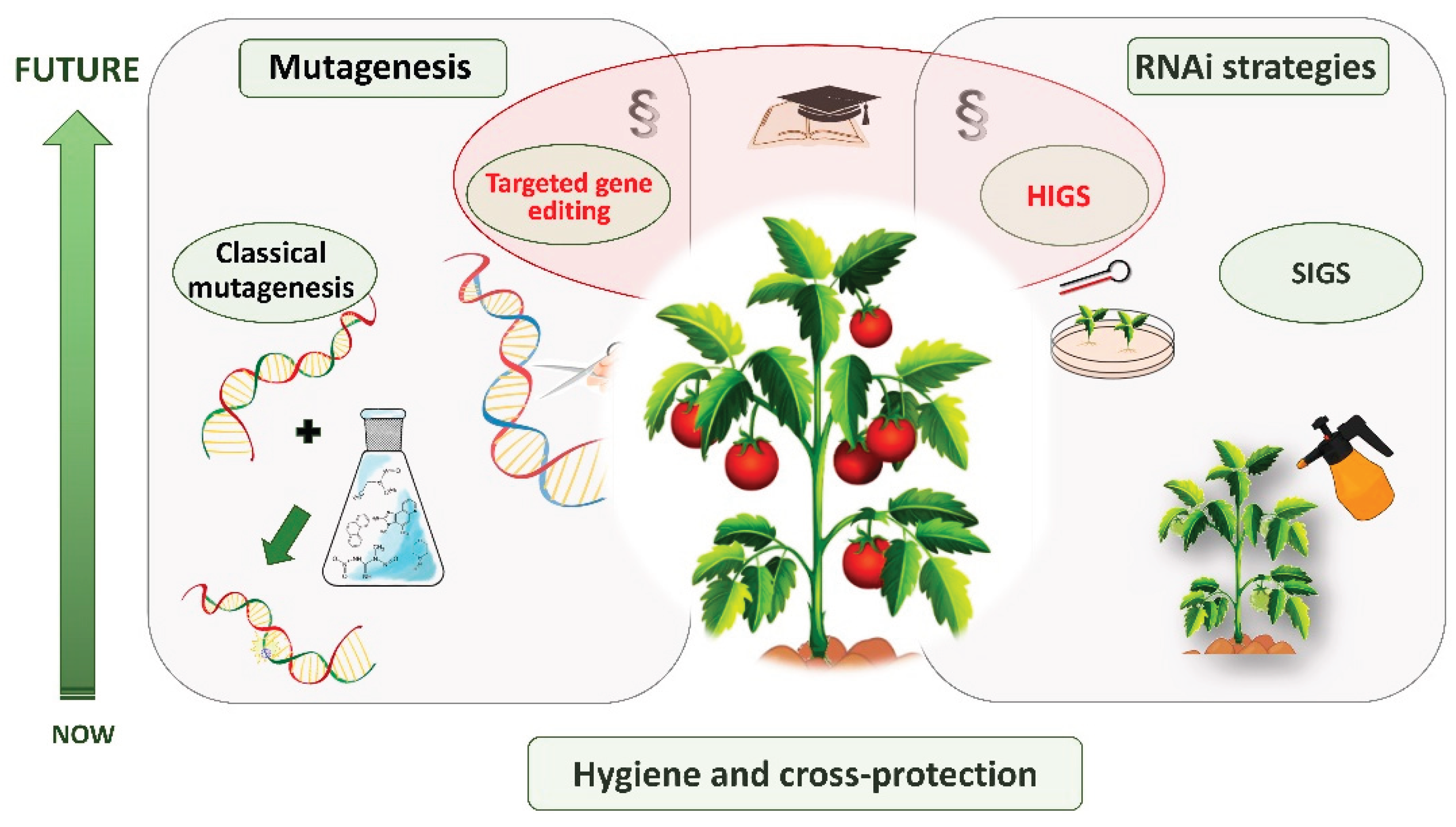 Preprints 184228 g003