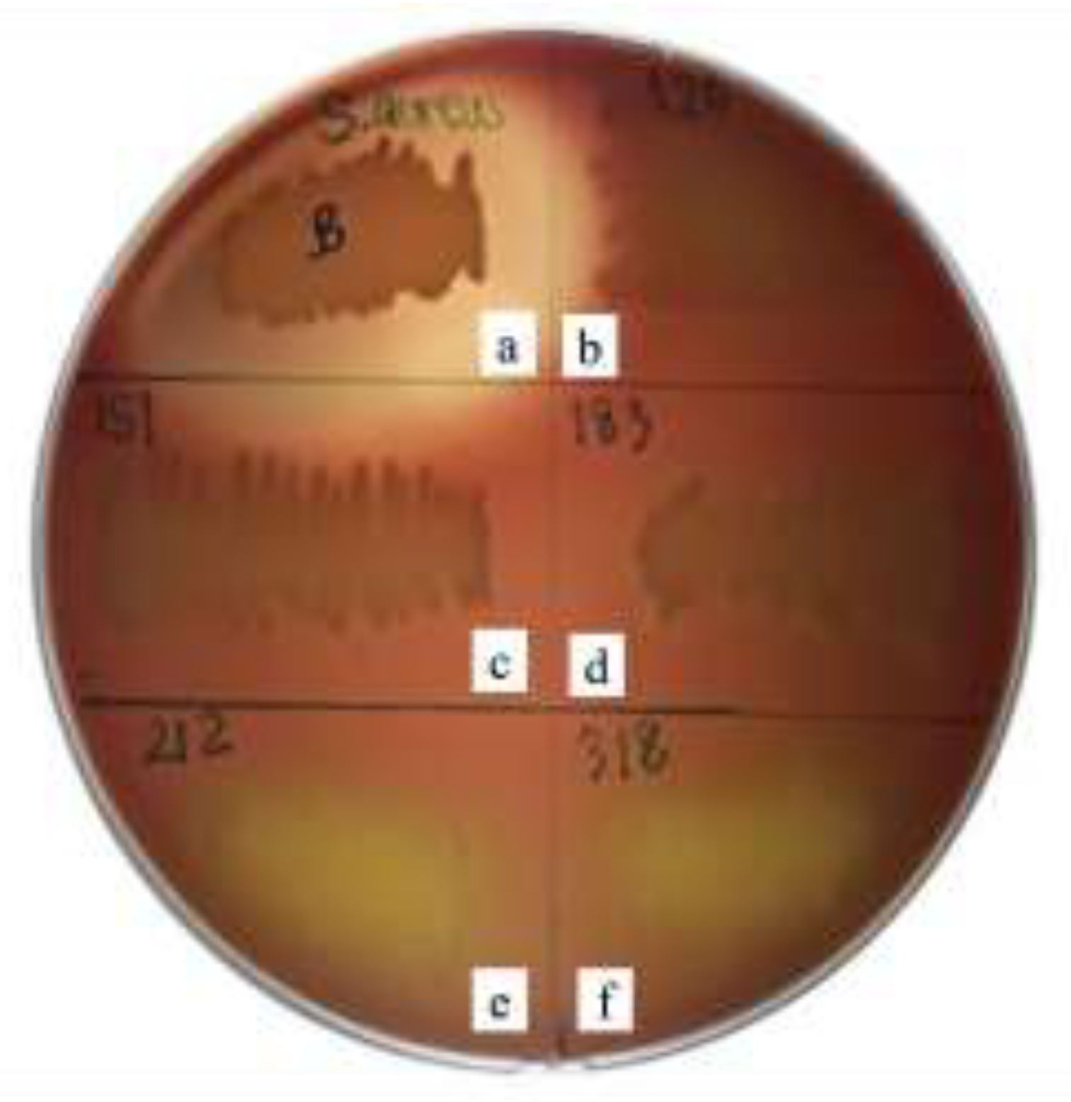 Preprints 195936 g002