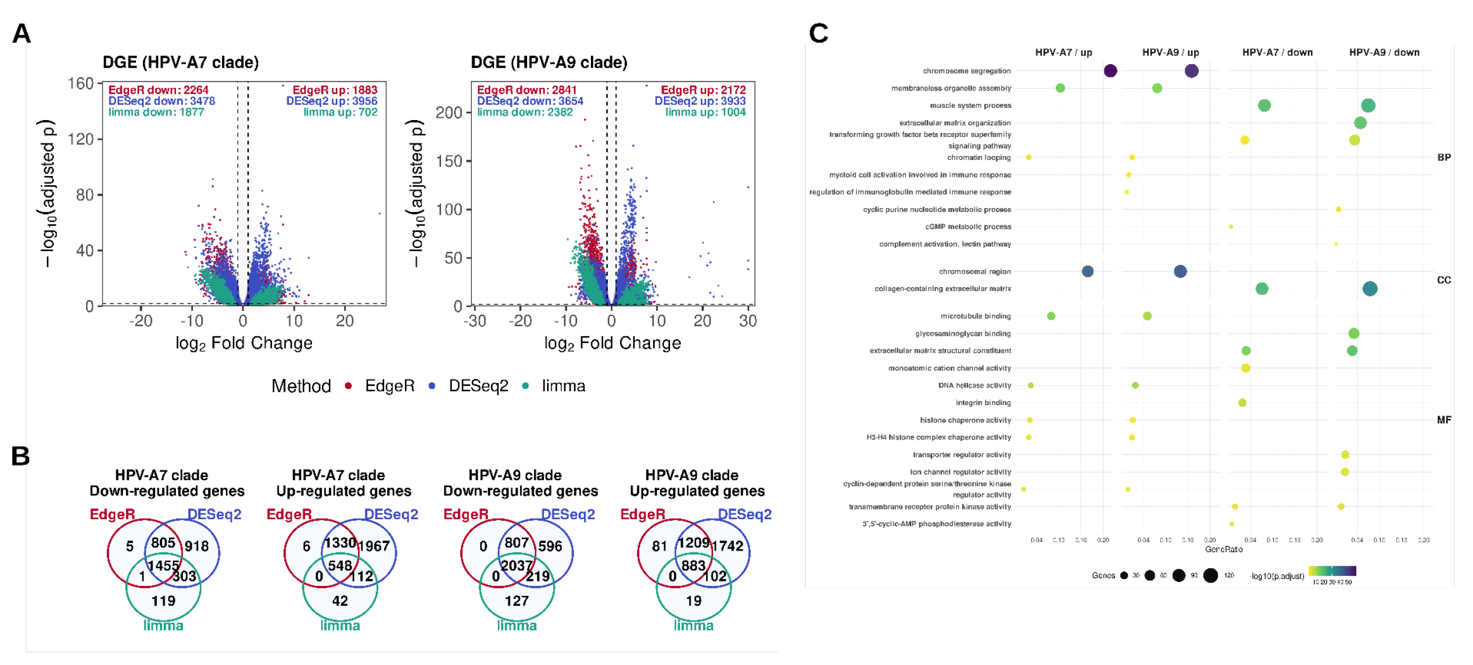 Preprints 179437 g001