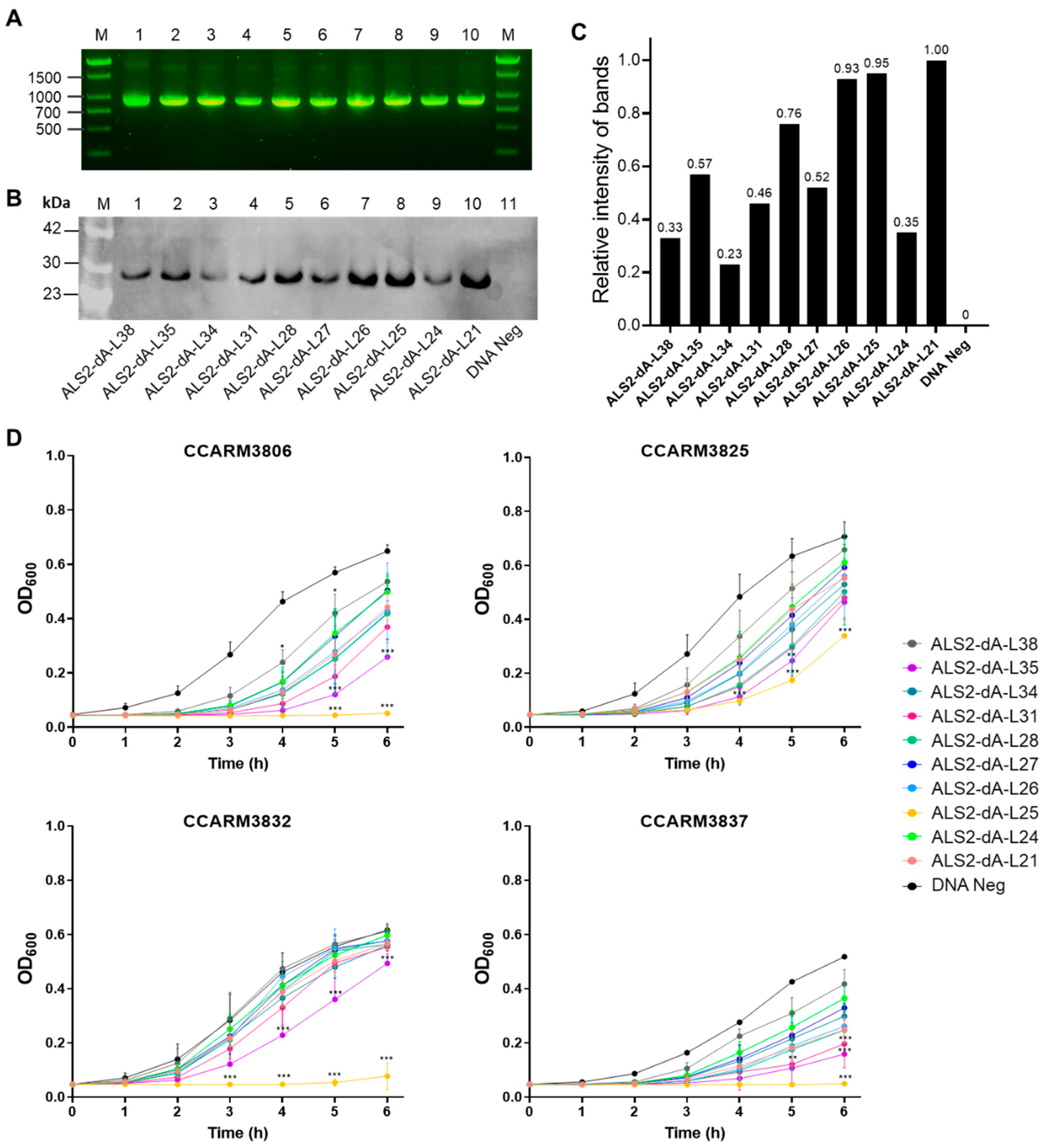 Preprints 97525 g002
