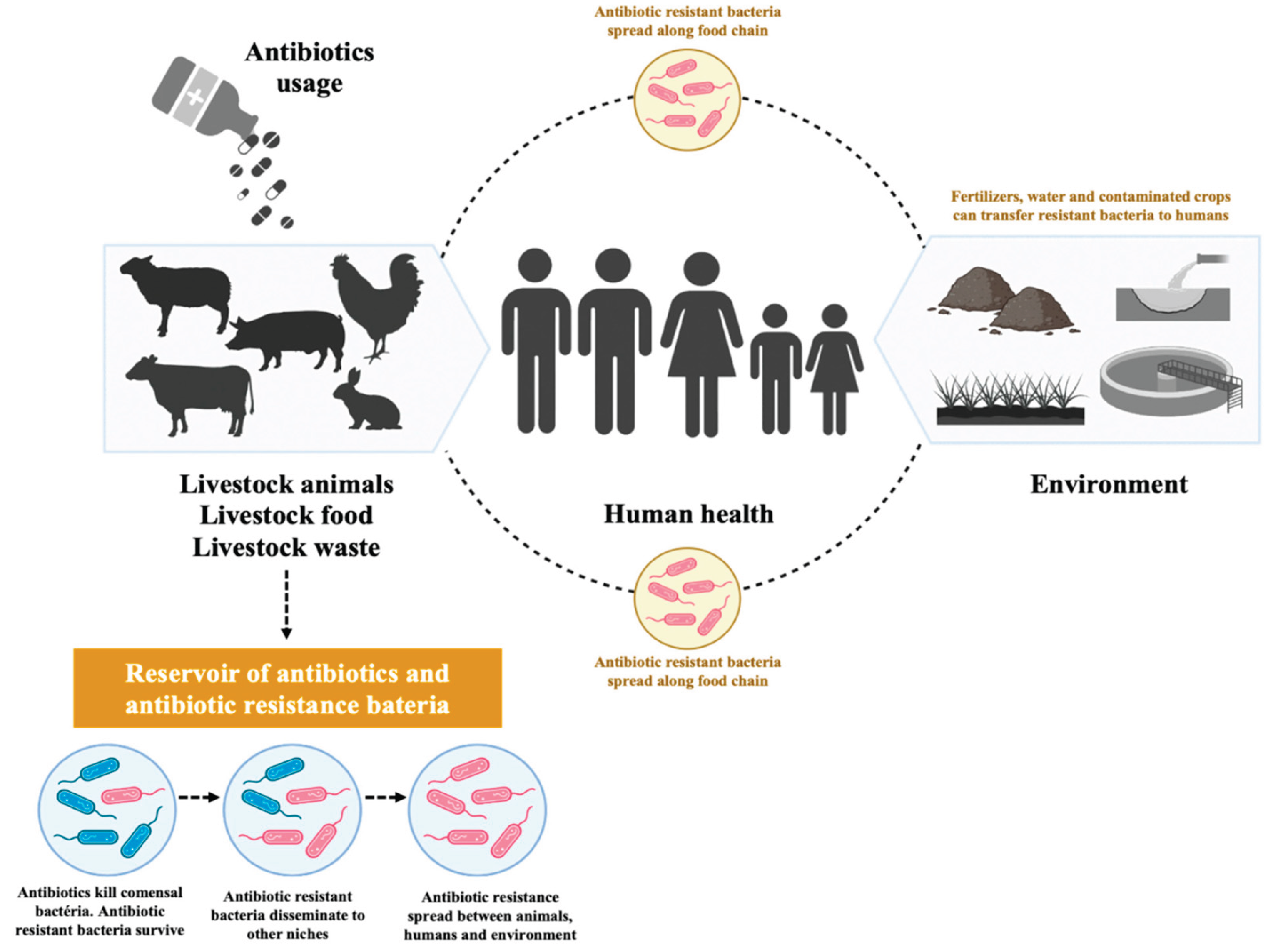 Preprints 162041 g002