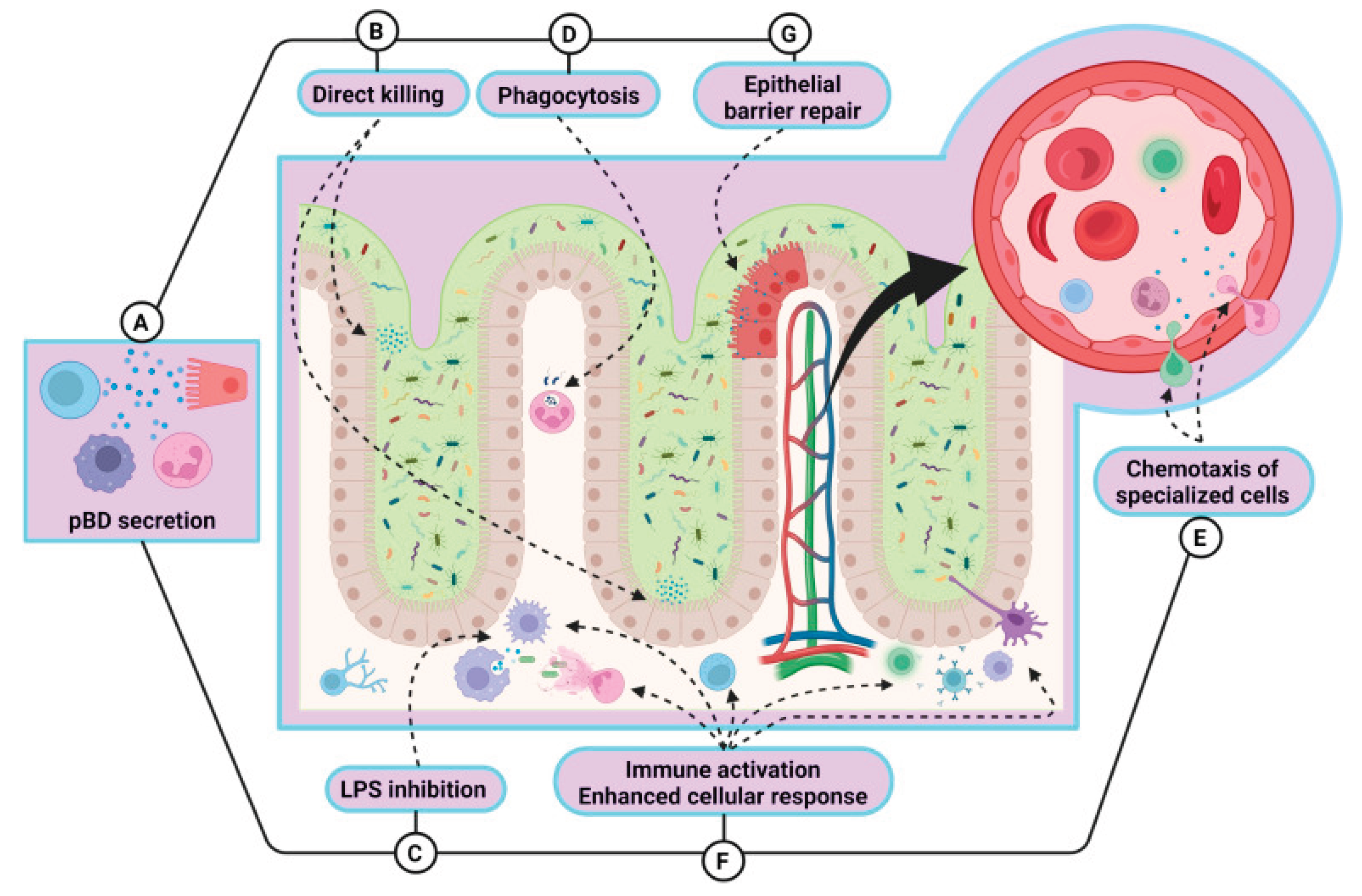 Preprints 162041 g003
