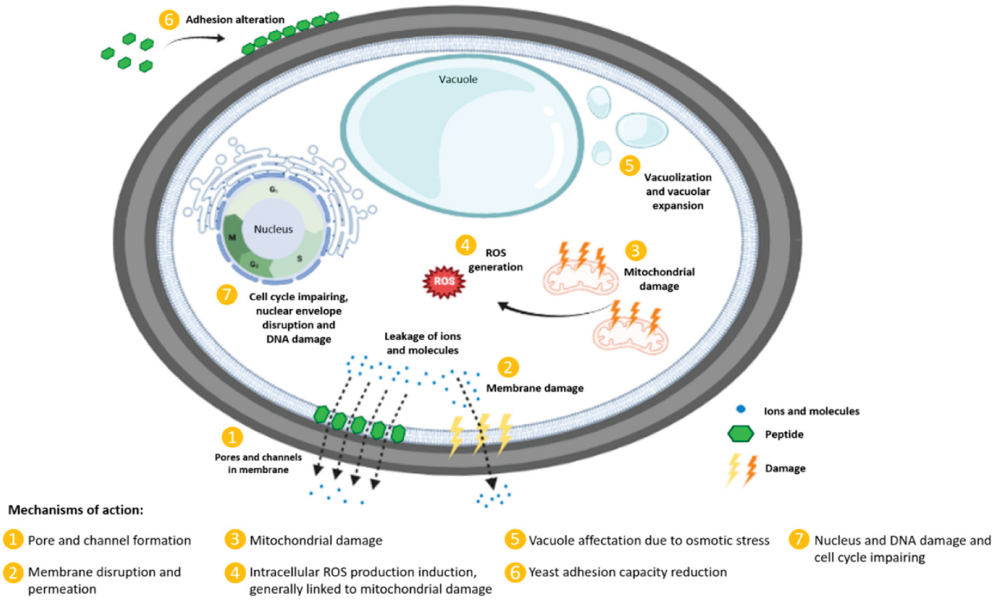 Preprints 162041 g004