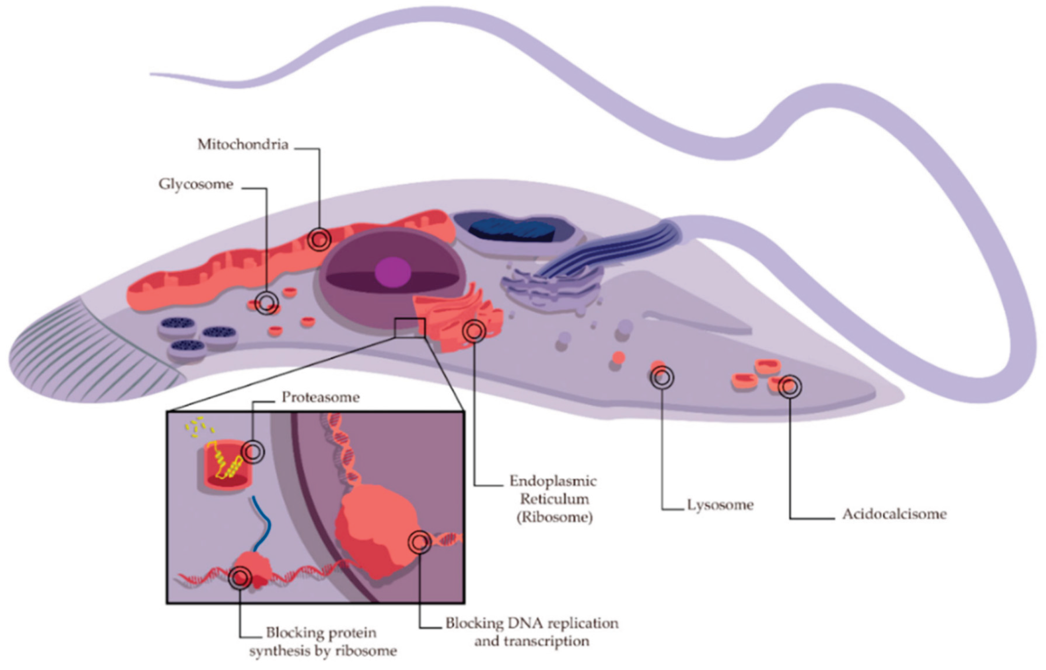 Preprints 162041 g005