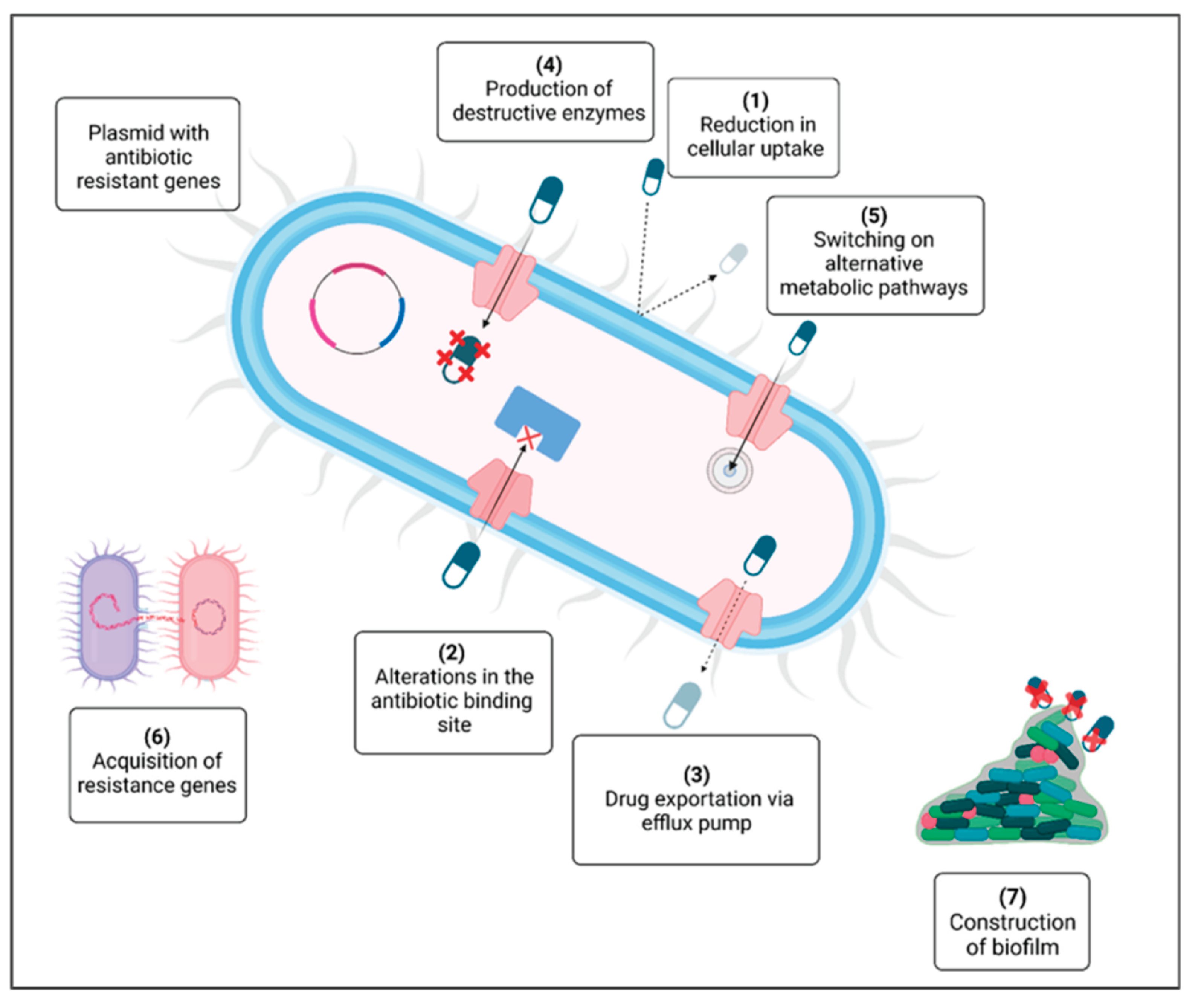 Preprints 162041 g006