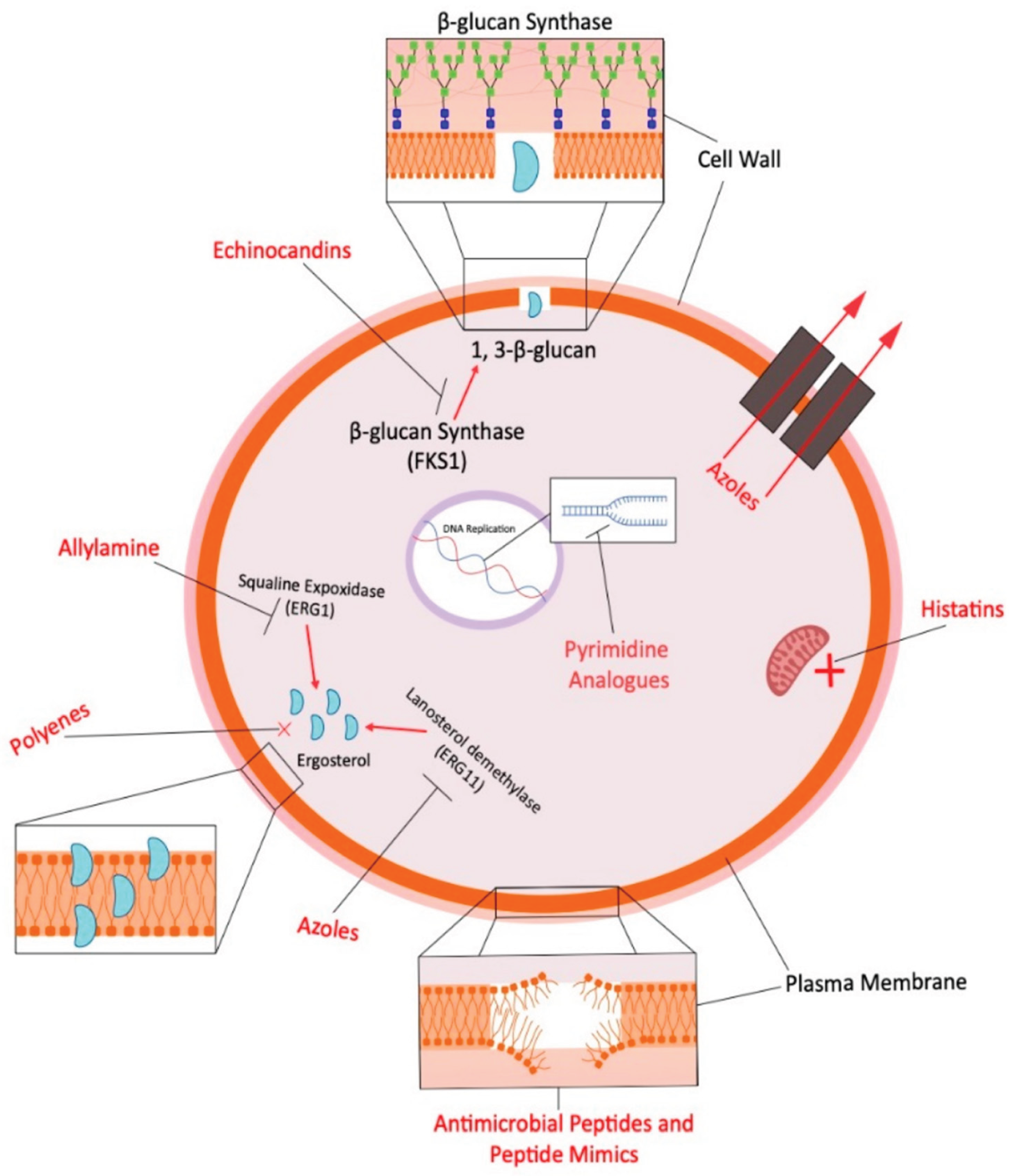 Preprints 162041 g007