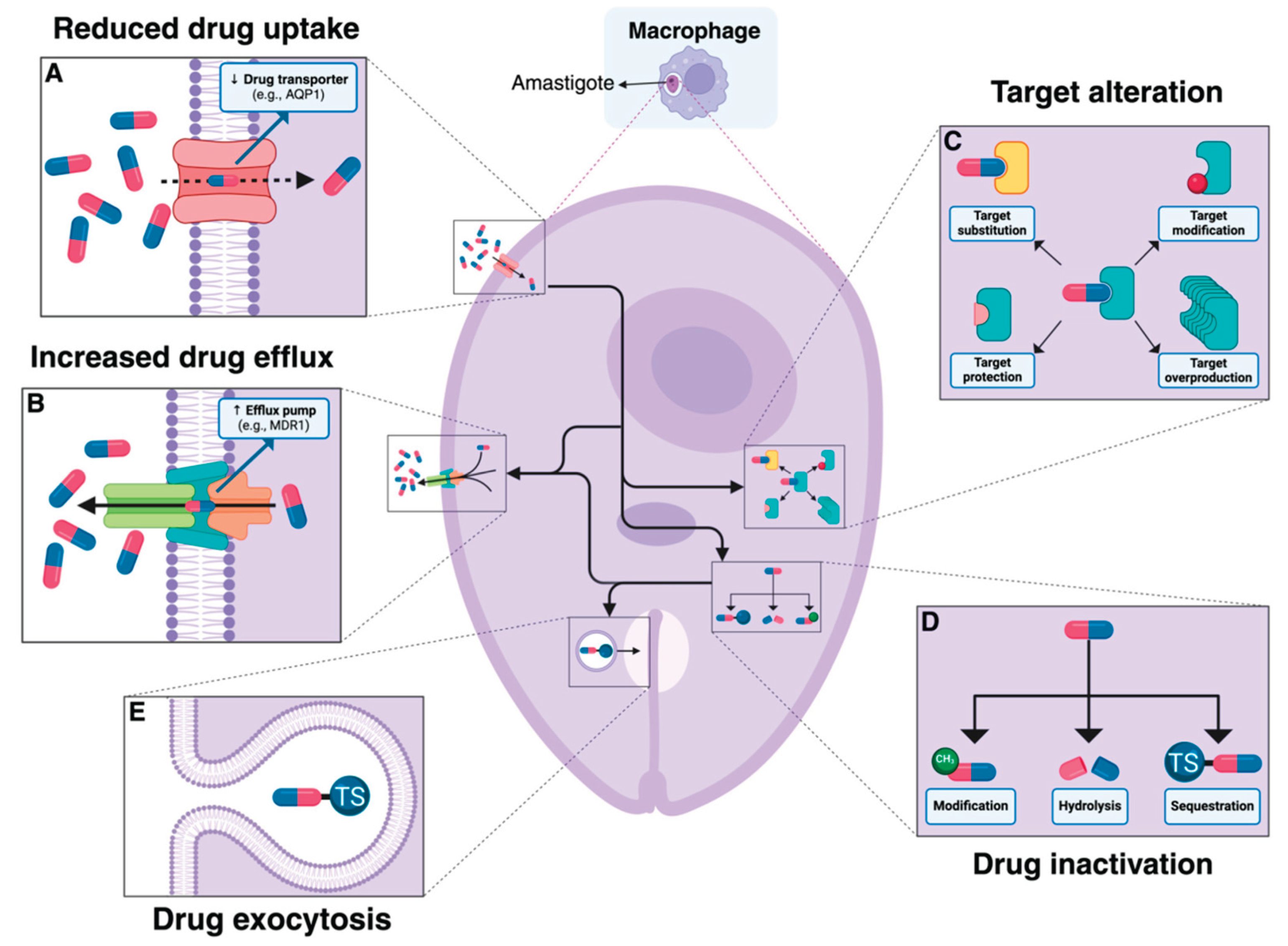 Preprints 162041 g008
