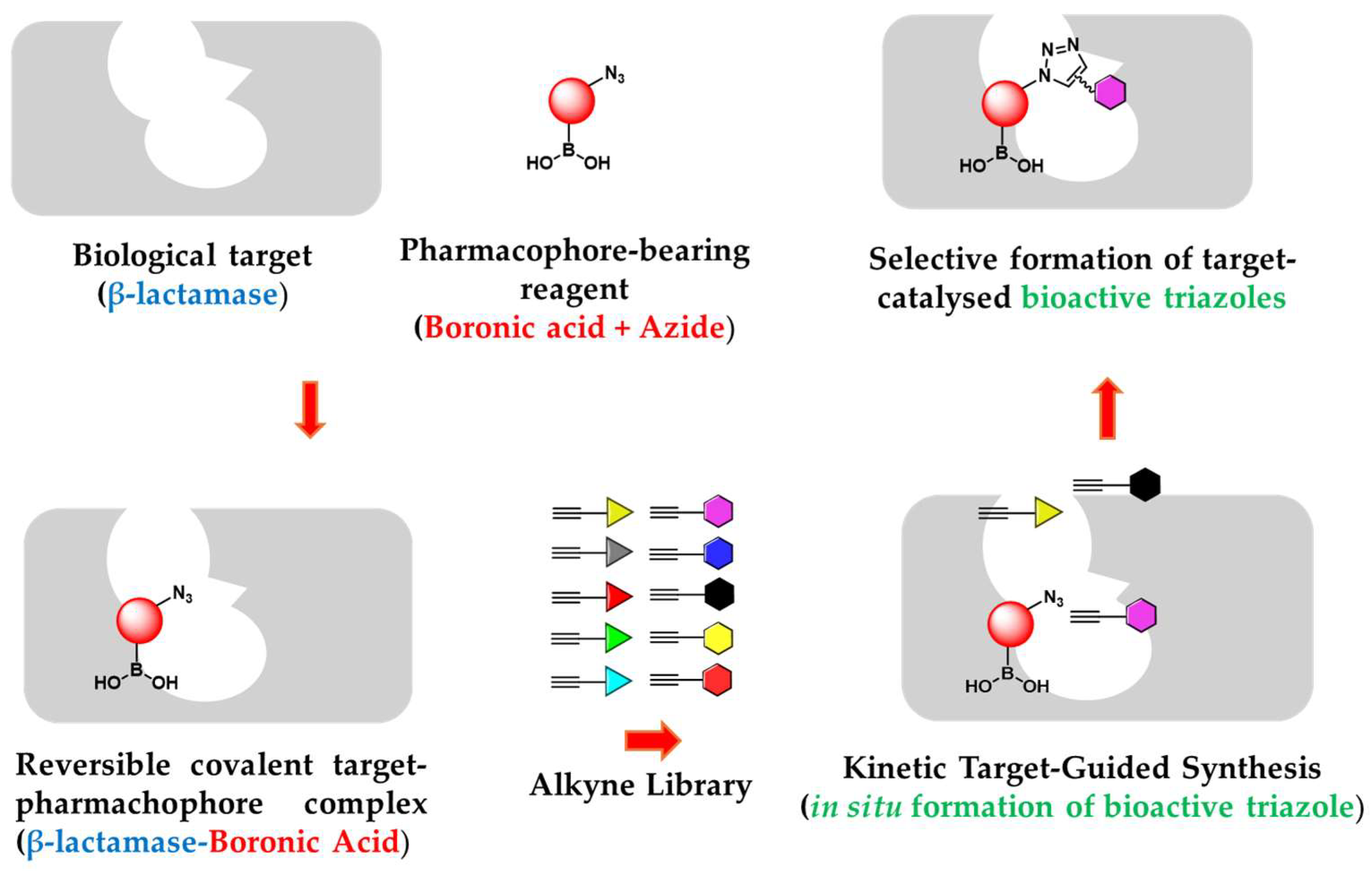 Preprints 151515 g002