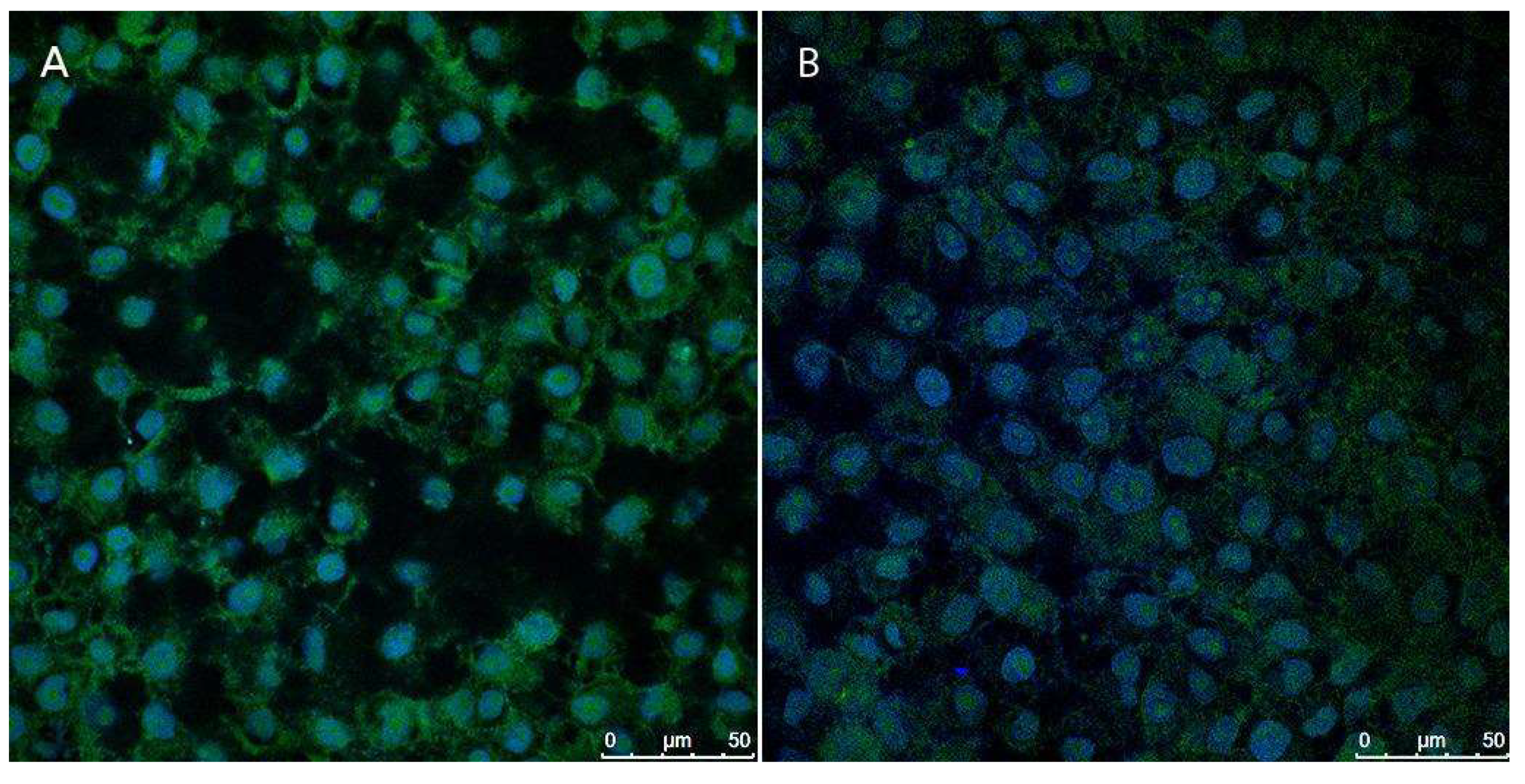 Preprints 148613 g015