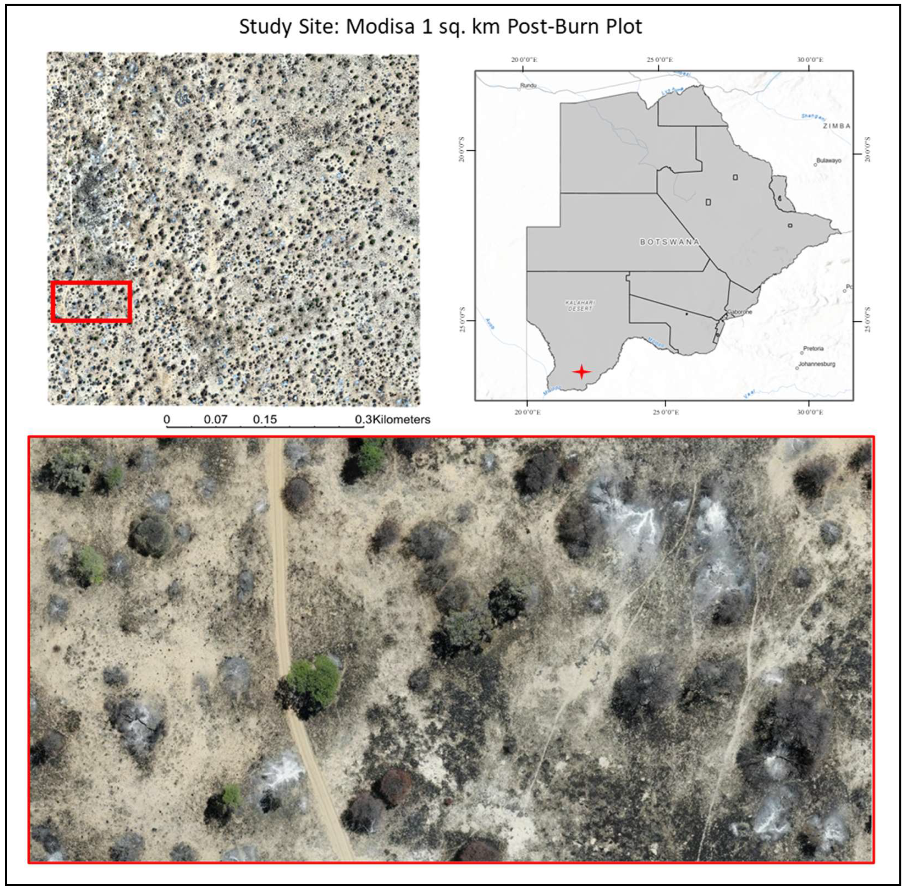 Preprints 115029 g002