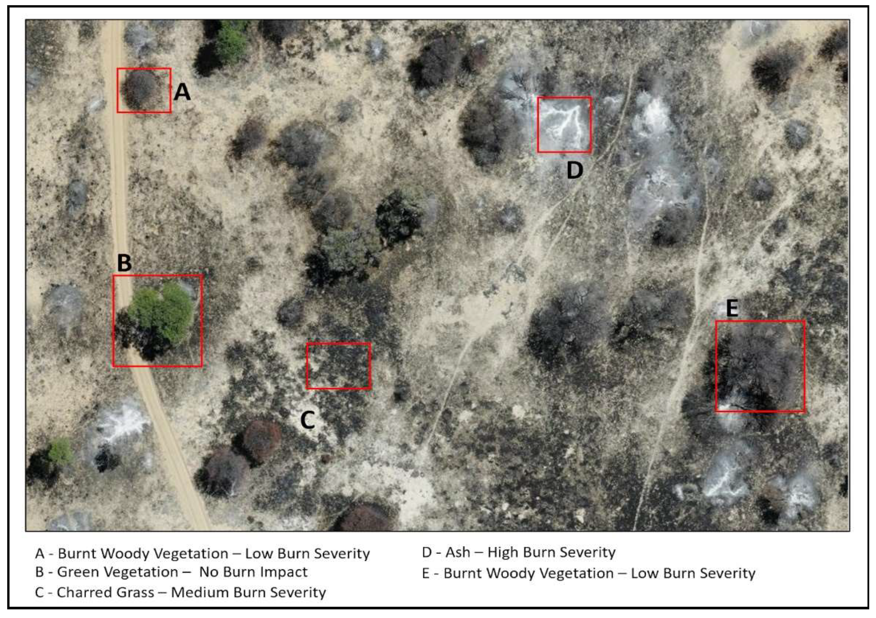 Preprints 115029 g004