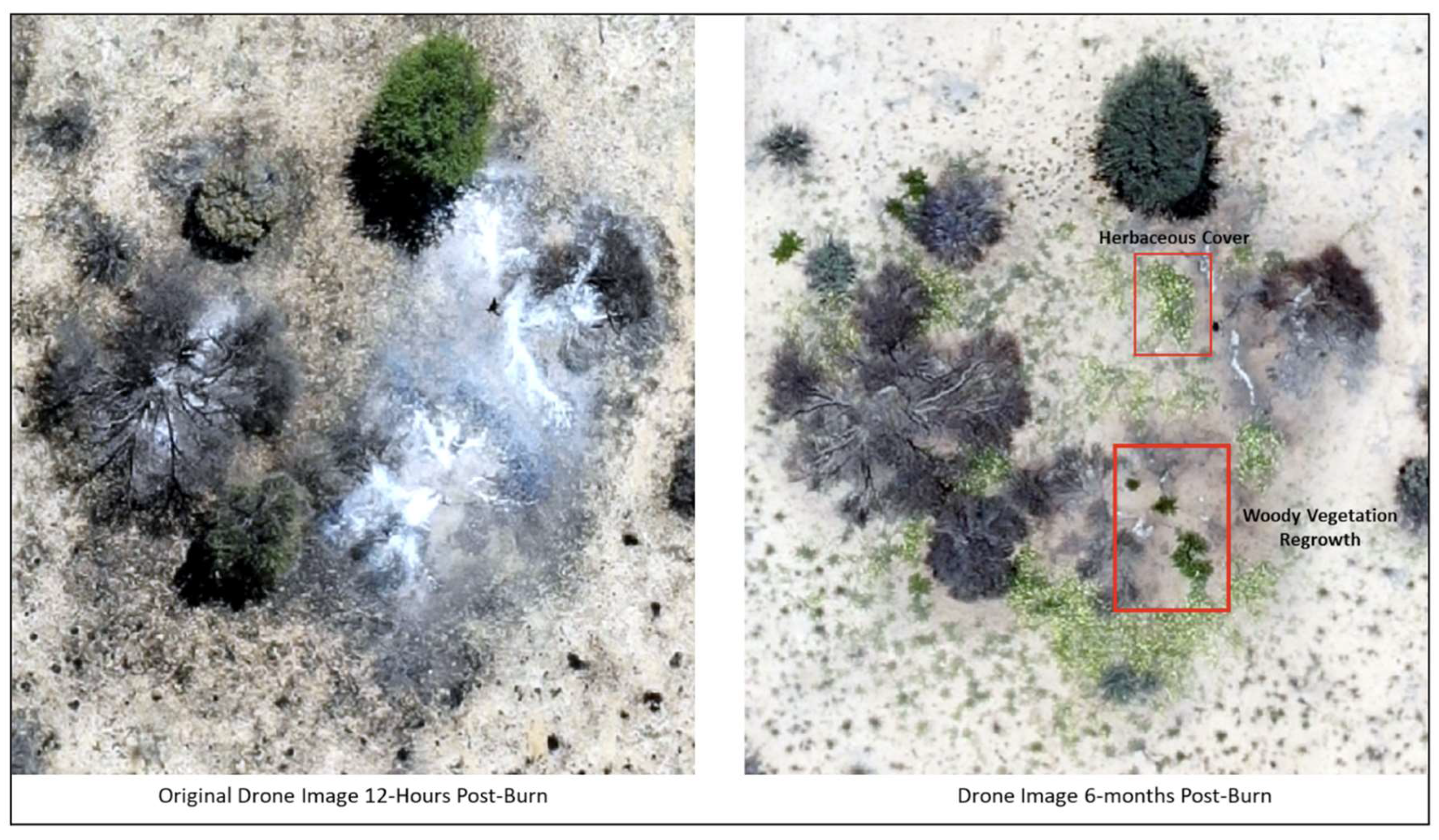 Preprints 115029 g006