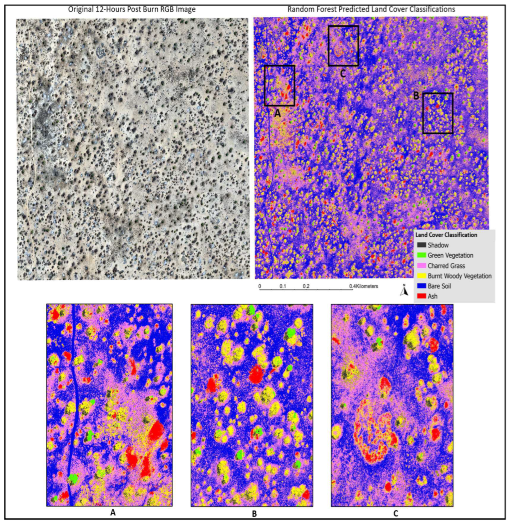 Preprints 115029 g008