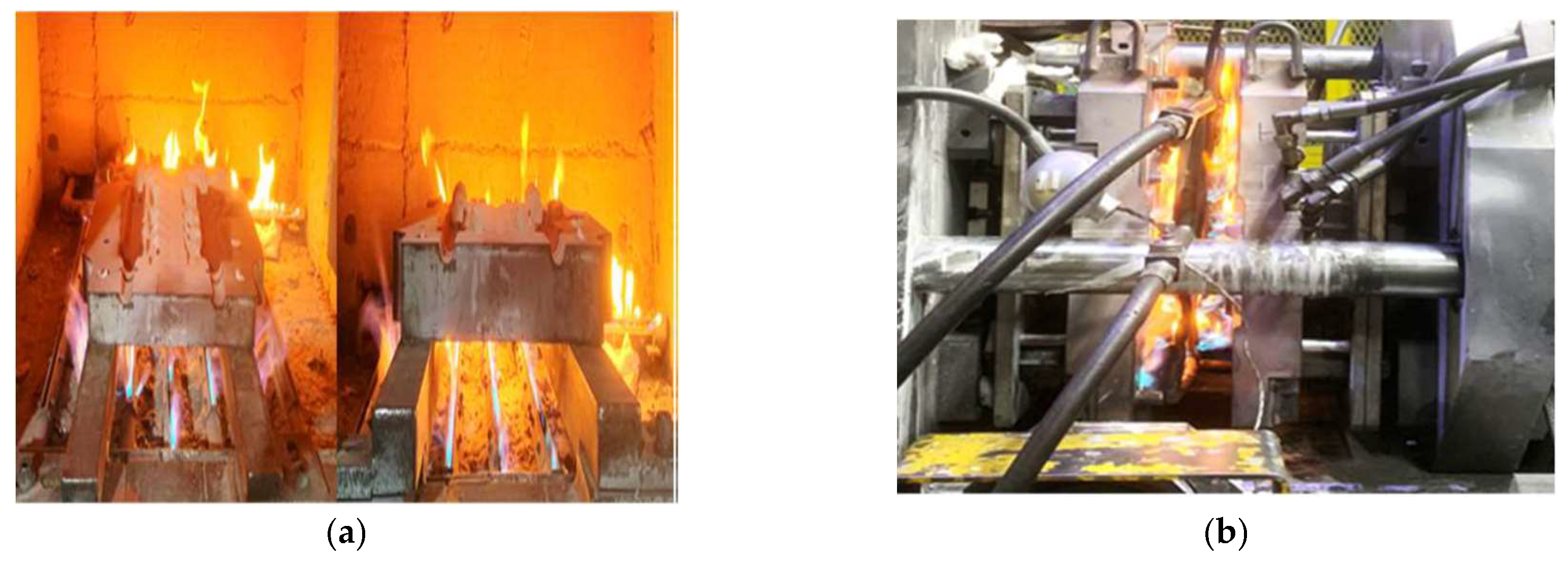 Preprints 150448 g005