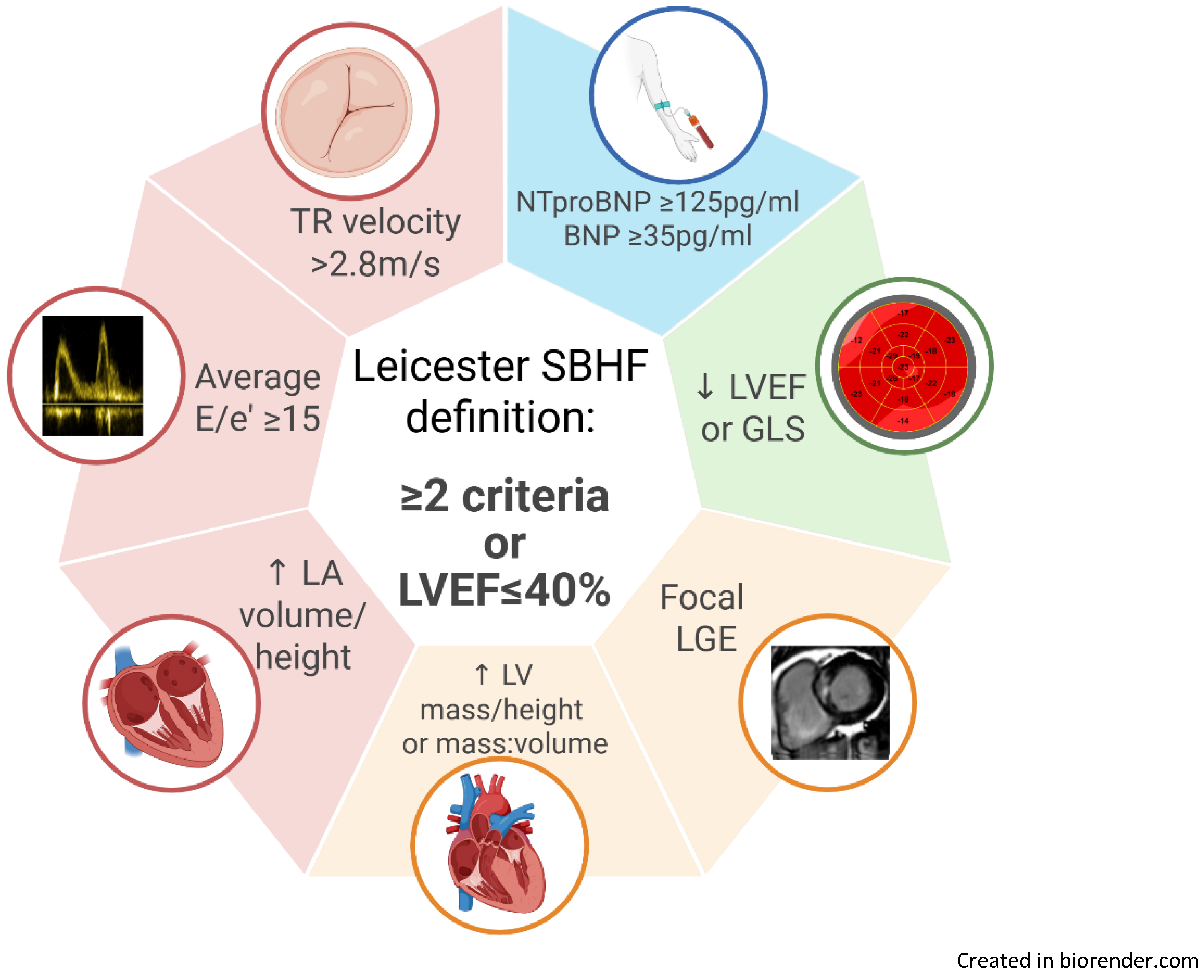 Preprints 186501 g002