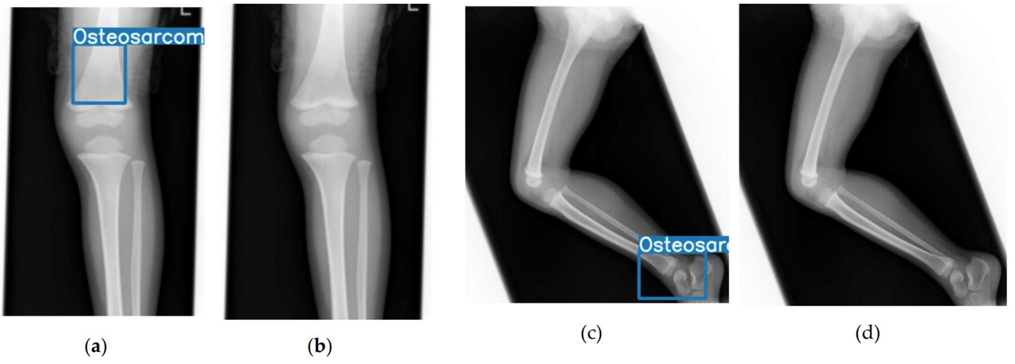 Preprints 173997 g004