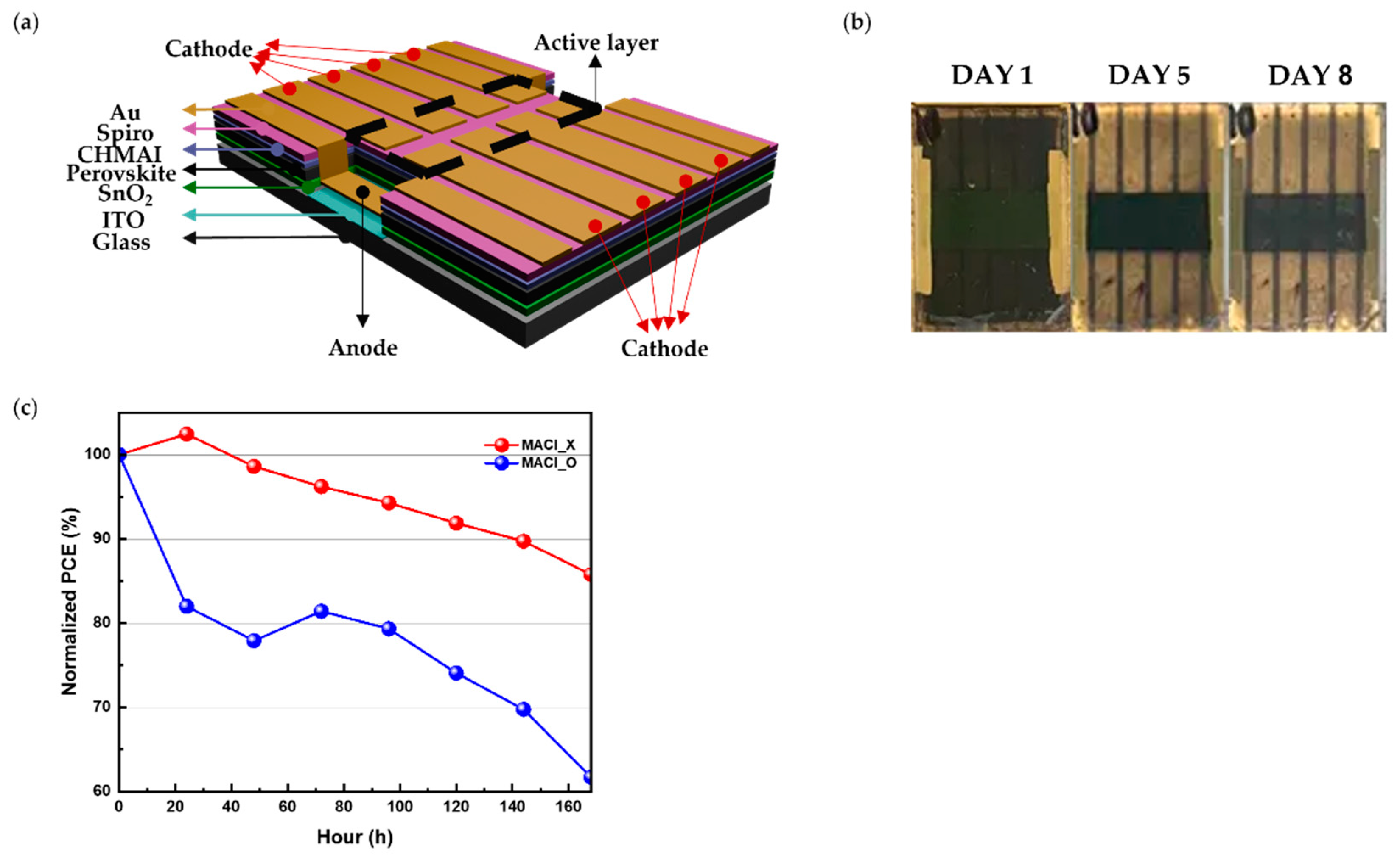 Preprints 143352 g001